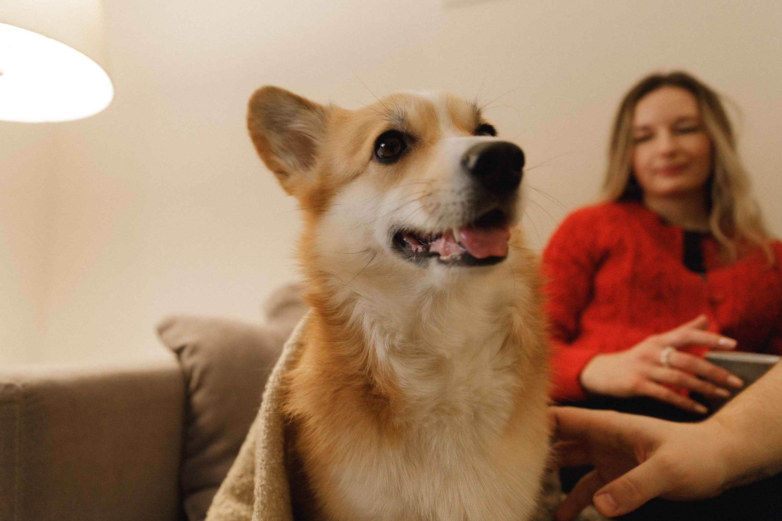 Dasha & Daisy. Kaja | fotograf psów we Wrocławiu