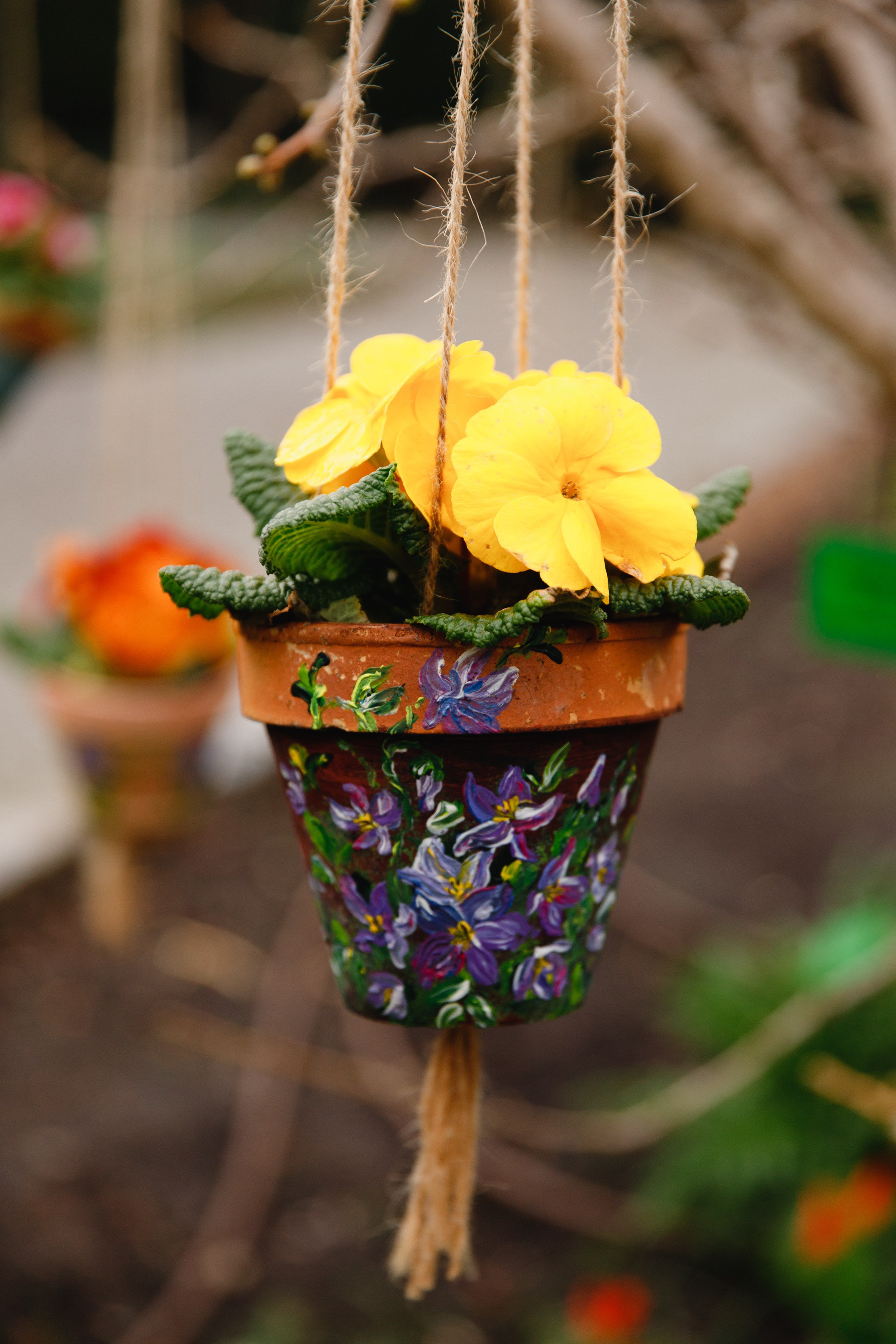 Botanical garden in Wroclaw. Kaja | fotograf we Wrocławiu | ludzie i psy