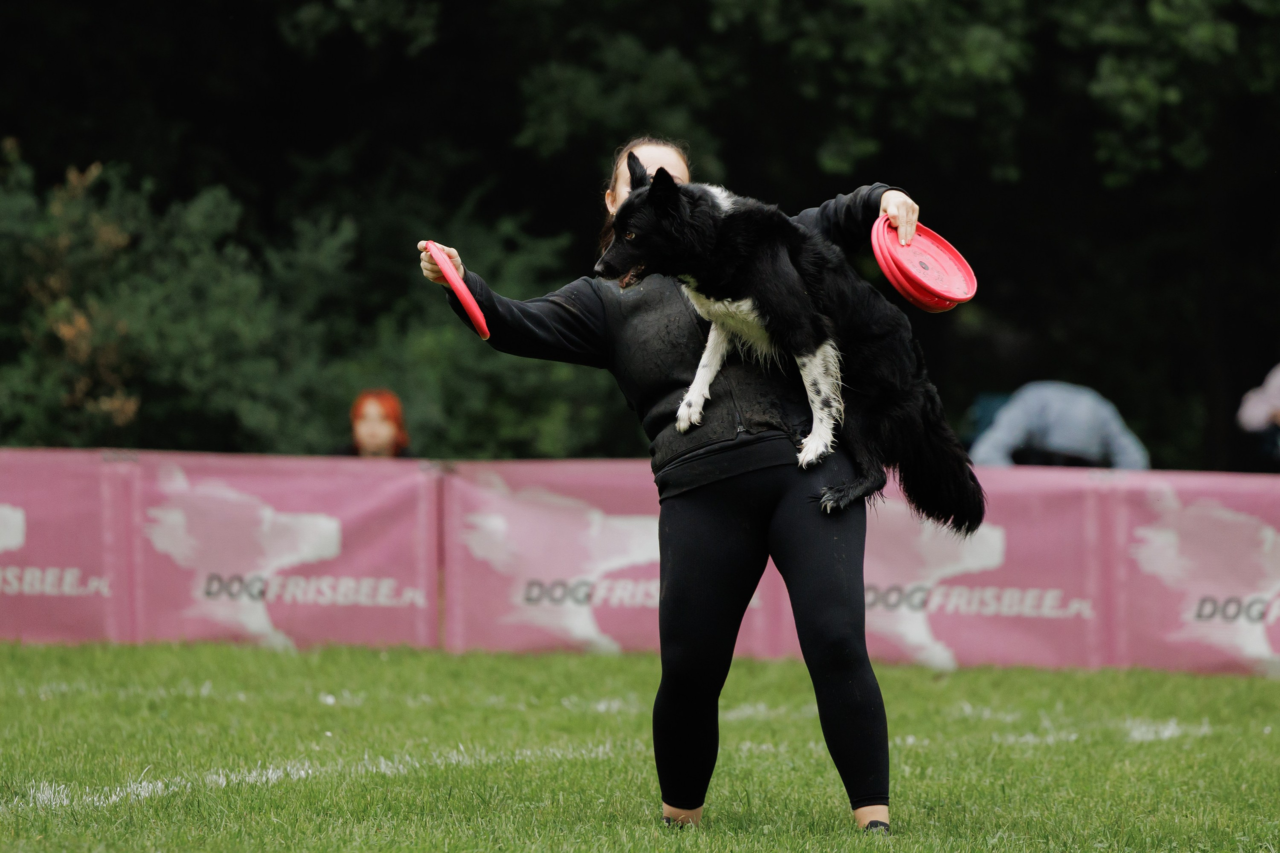 Latające psy, Wrocław'25. Kaja | fotograf psów we Wrocławiu