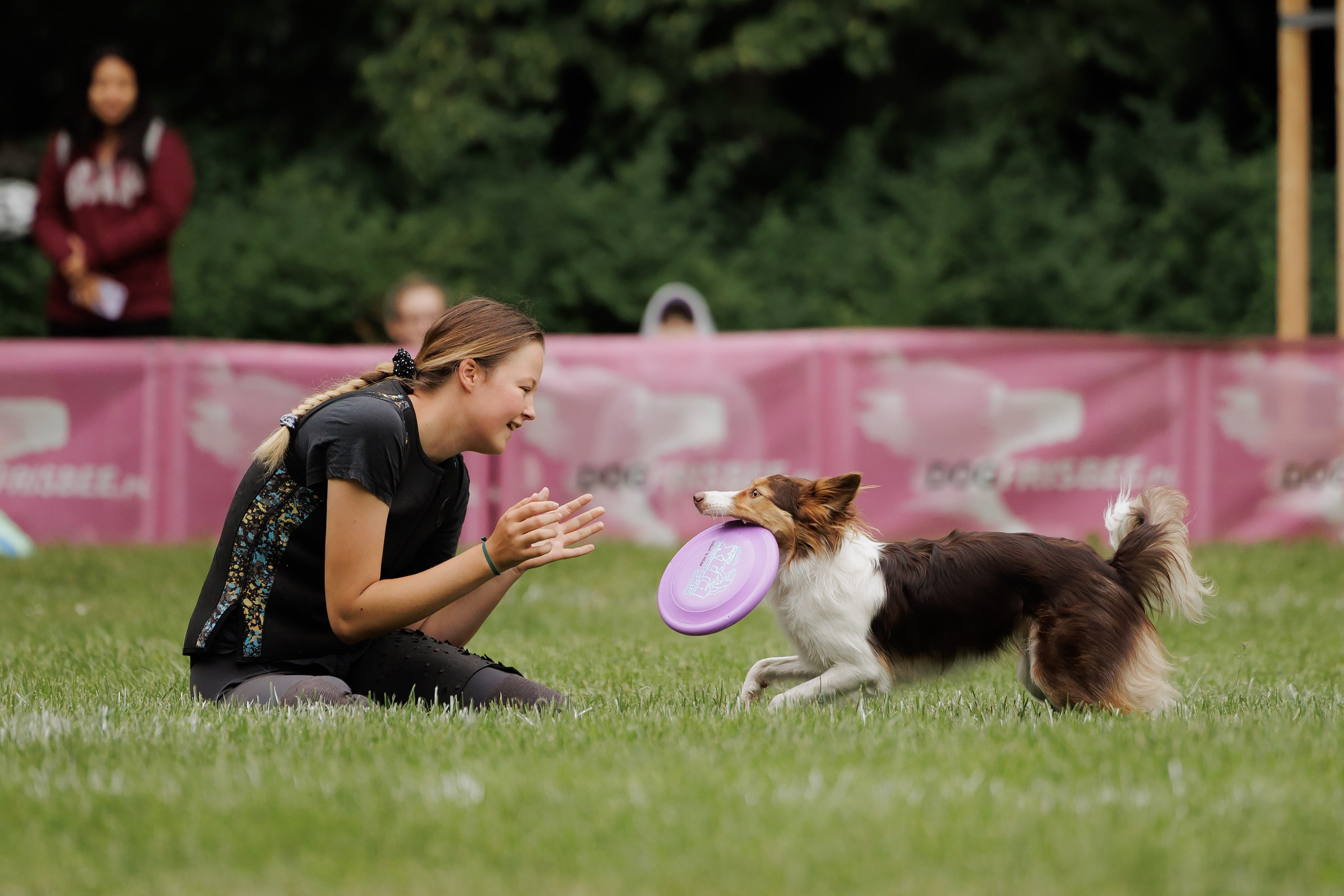 Latające psy, Wrocław'25. Kaja | fotograf psów we Wrocławiu