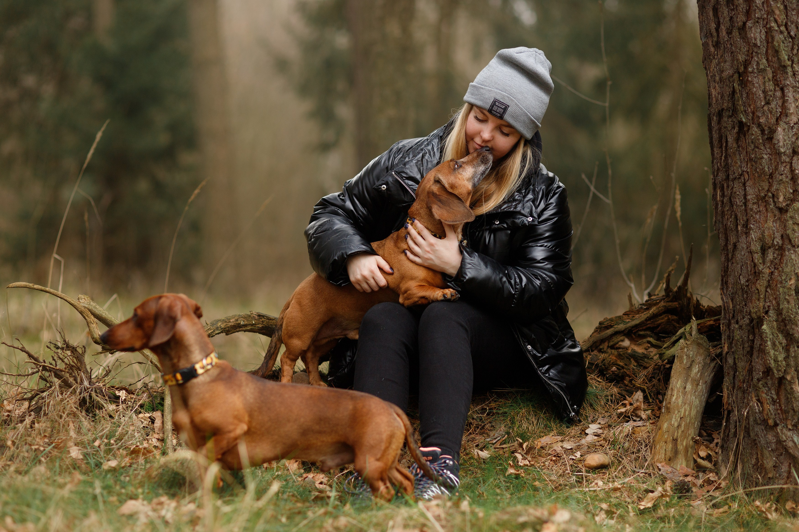 Ania, Franek & Vincent. Kaja | fotograf psów we Wrocławiu