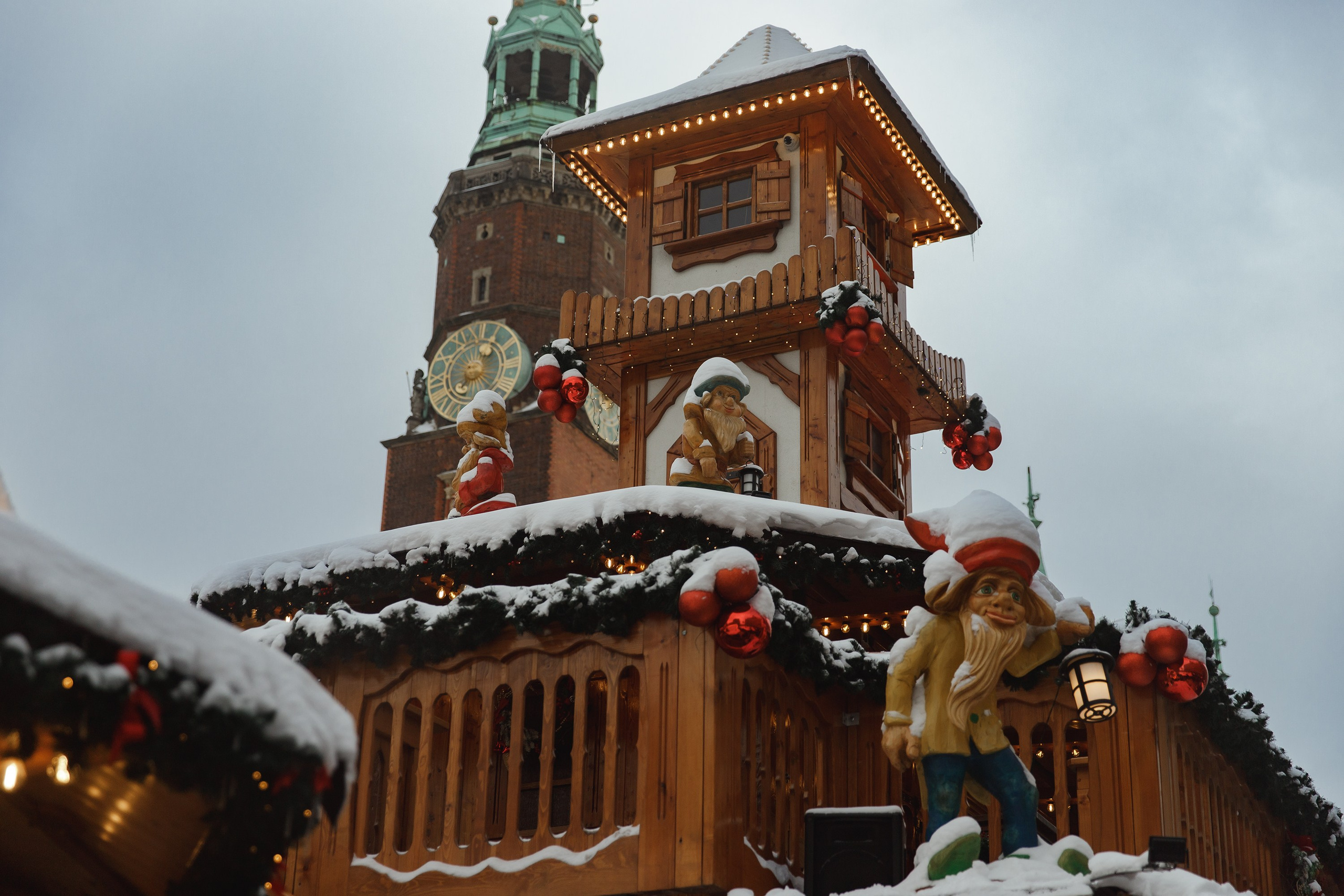 Masha & Andrei. Kaja | fotograf psów we Wrocławiu