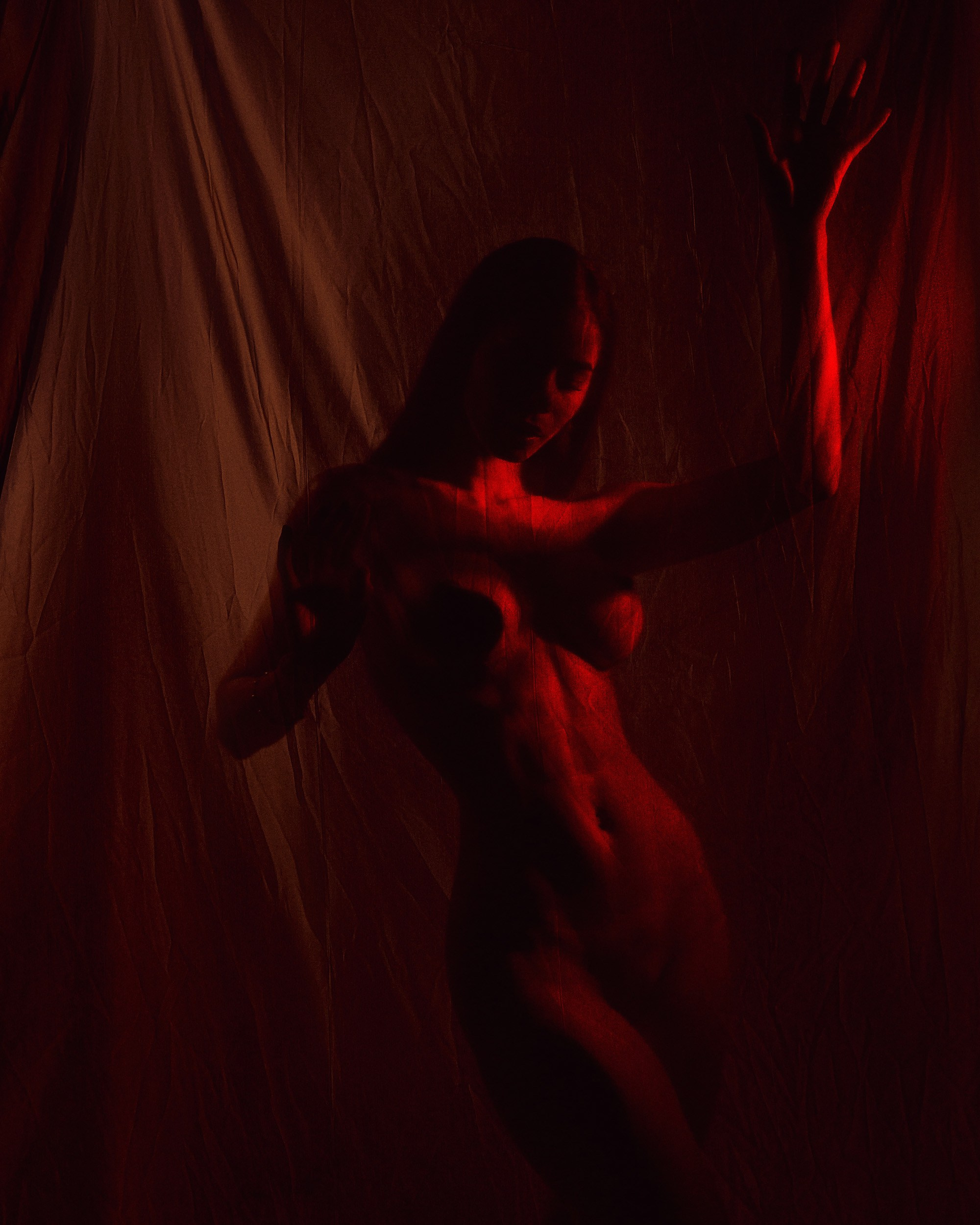 Portfolio 18+. Inicio