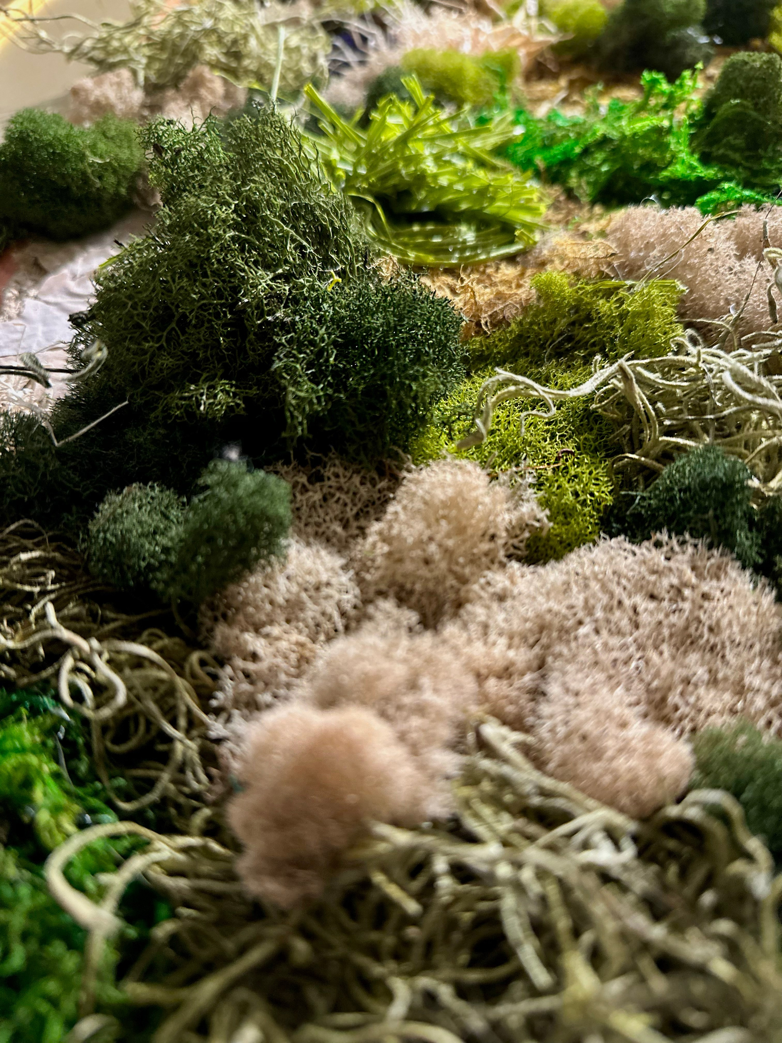 Anna & Moss magic, Content. Yana Bobrova | Artistic Photography