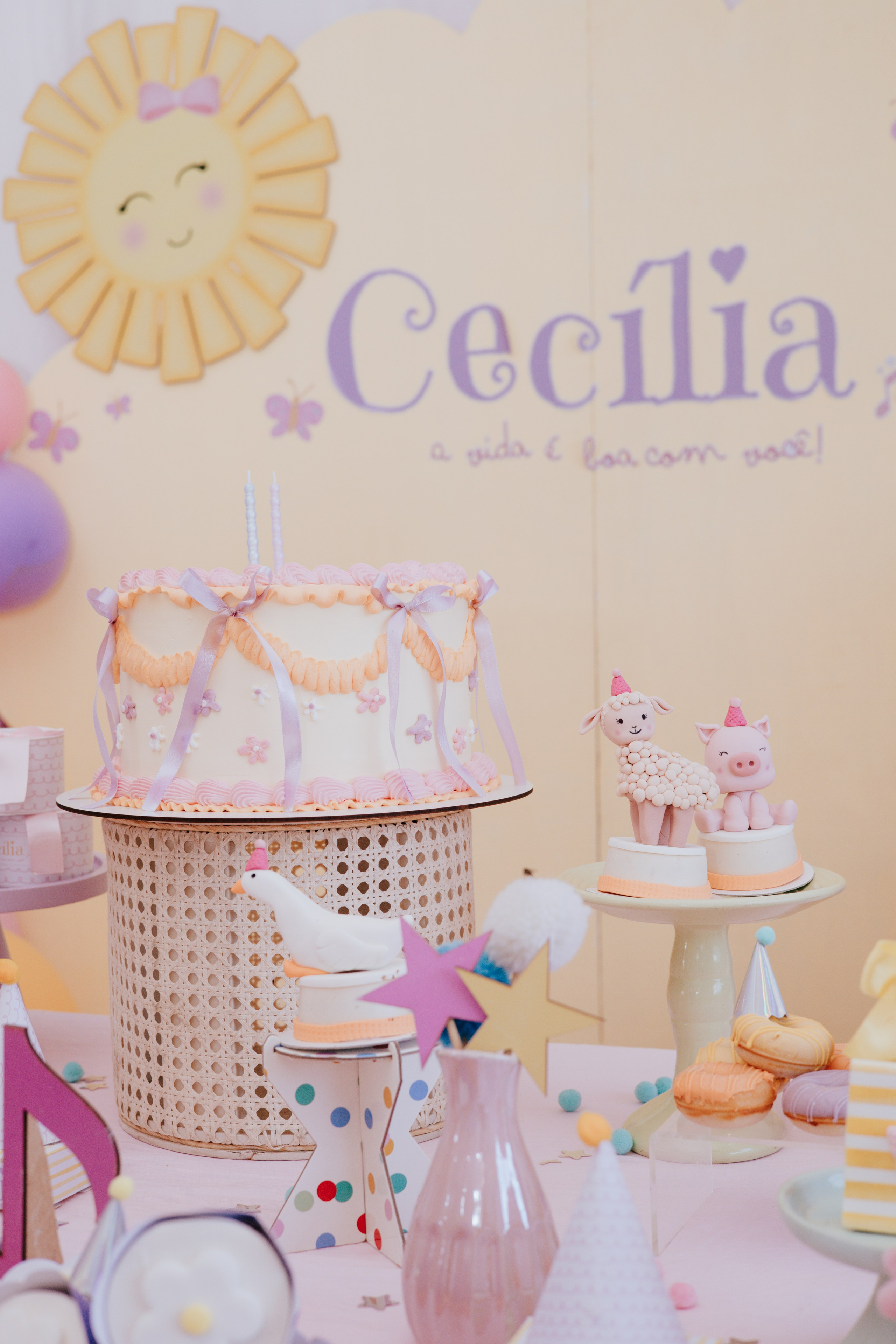 Cecília 2 anos. Fotografia de família e parto