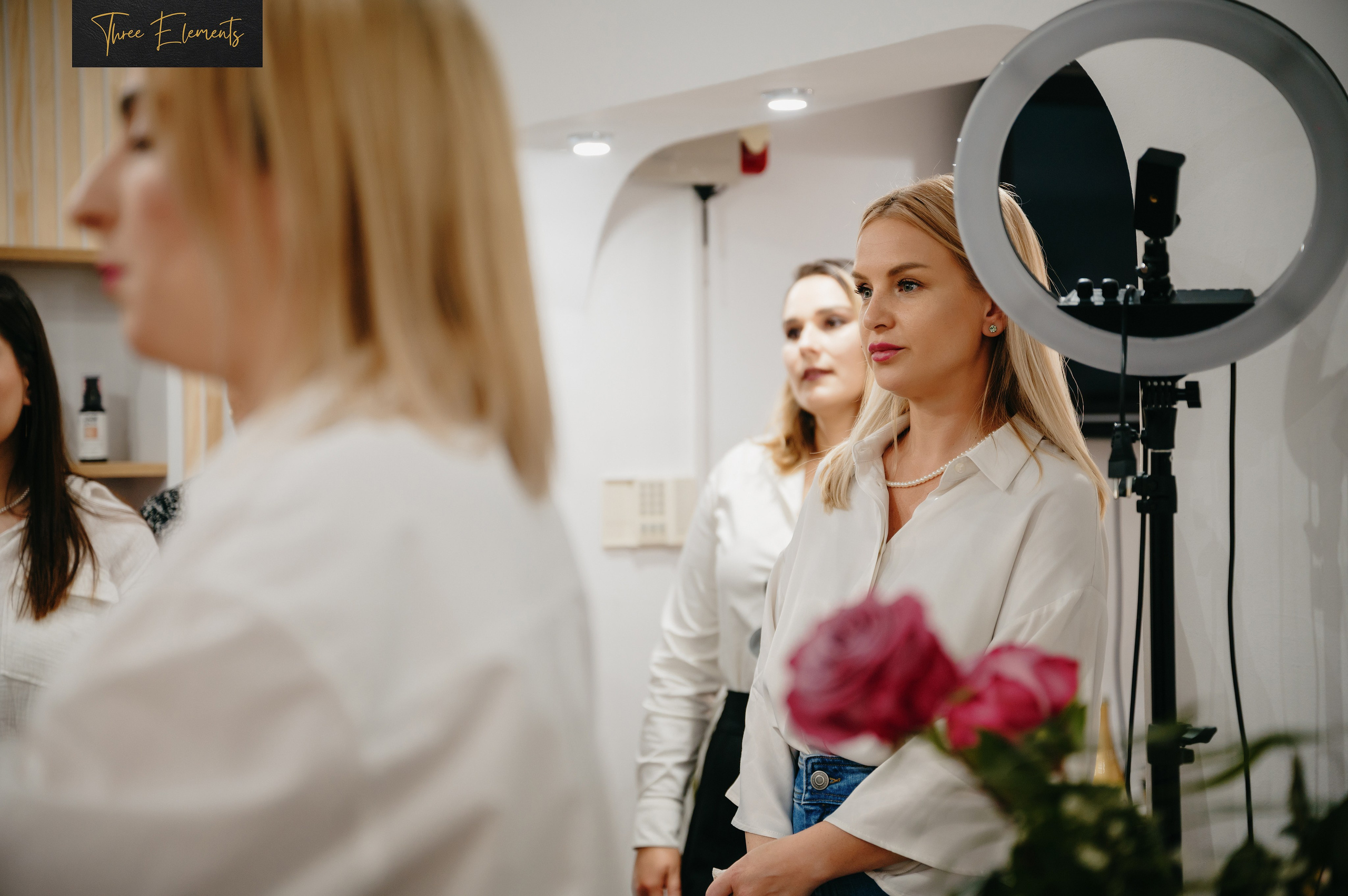 Three Elements. Laurentiu Stefan StoryTeller