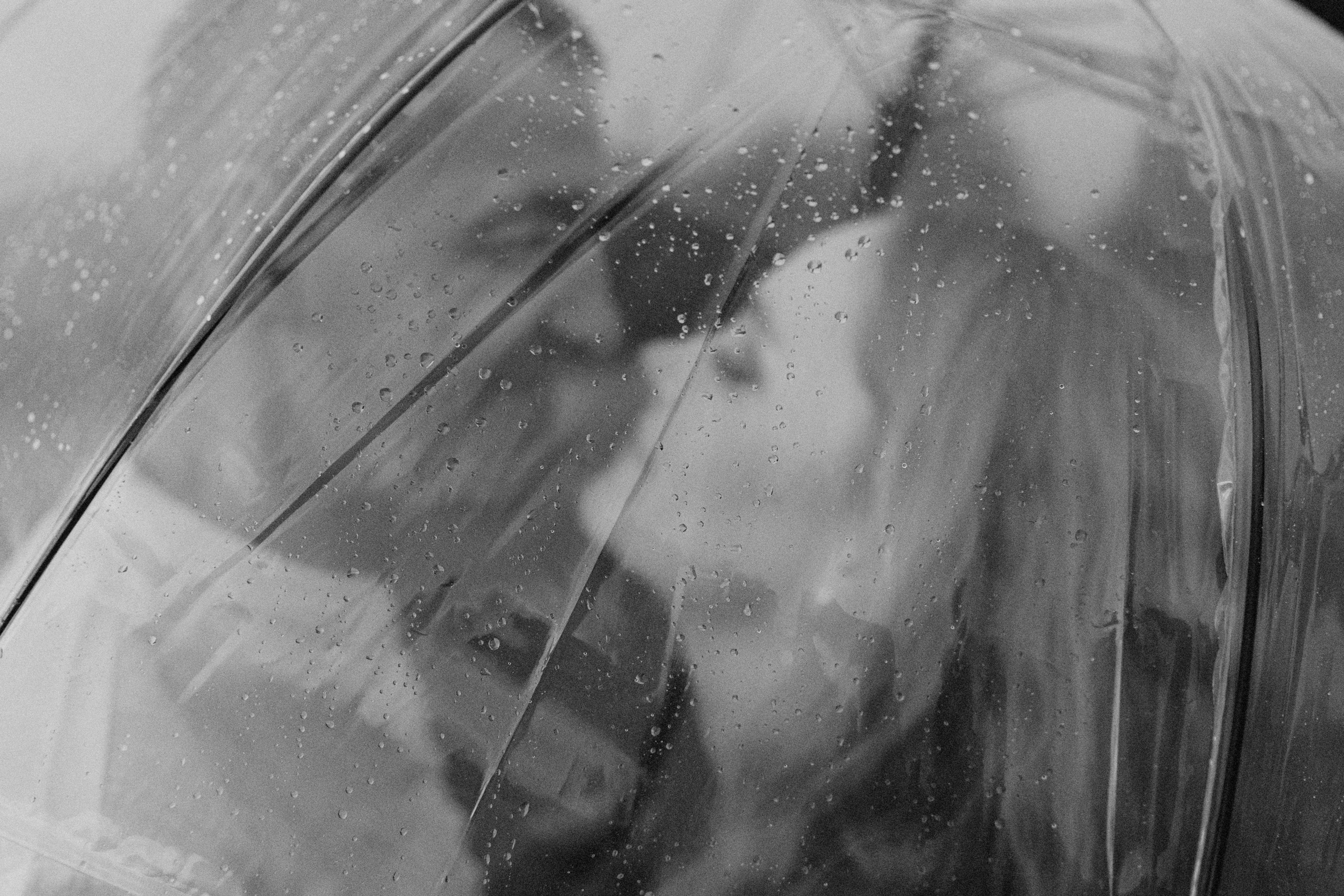 Love story. PHOTO|LATGALE| KRASLAVA |VALERIJA IVANOVA