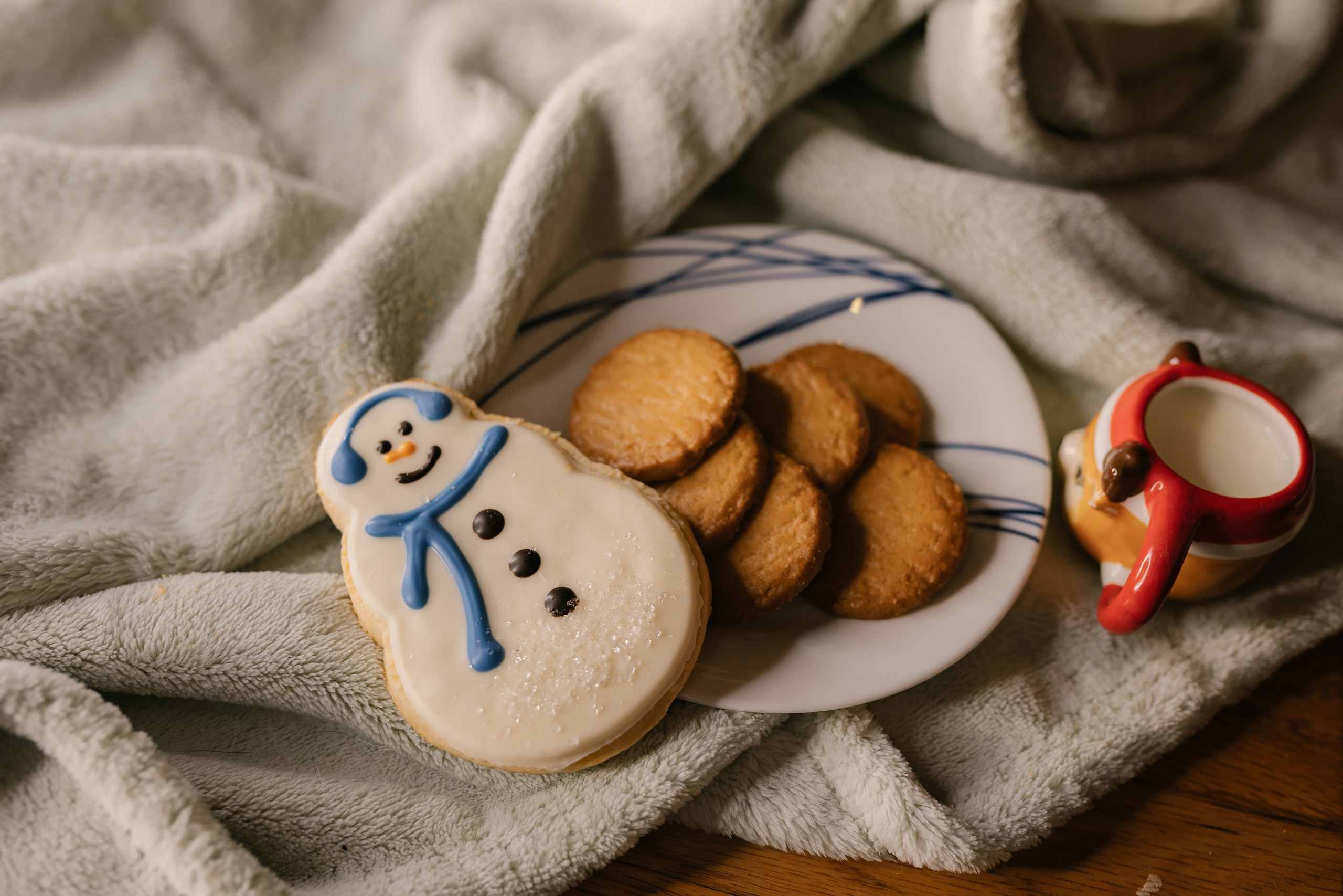 12.07.2025 Christmas Photoshoot. Wedding family event photographer in Chicago Nick Yushevich