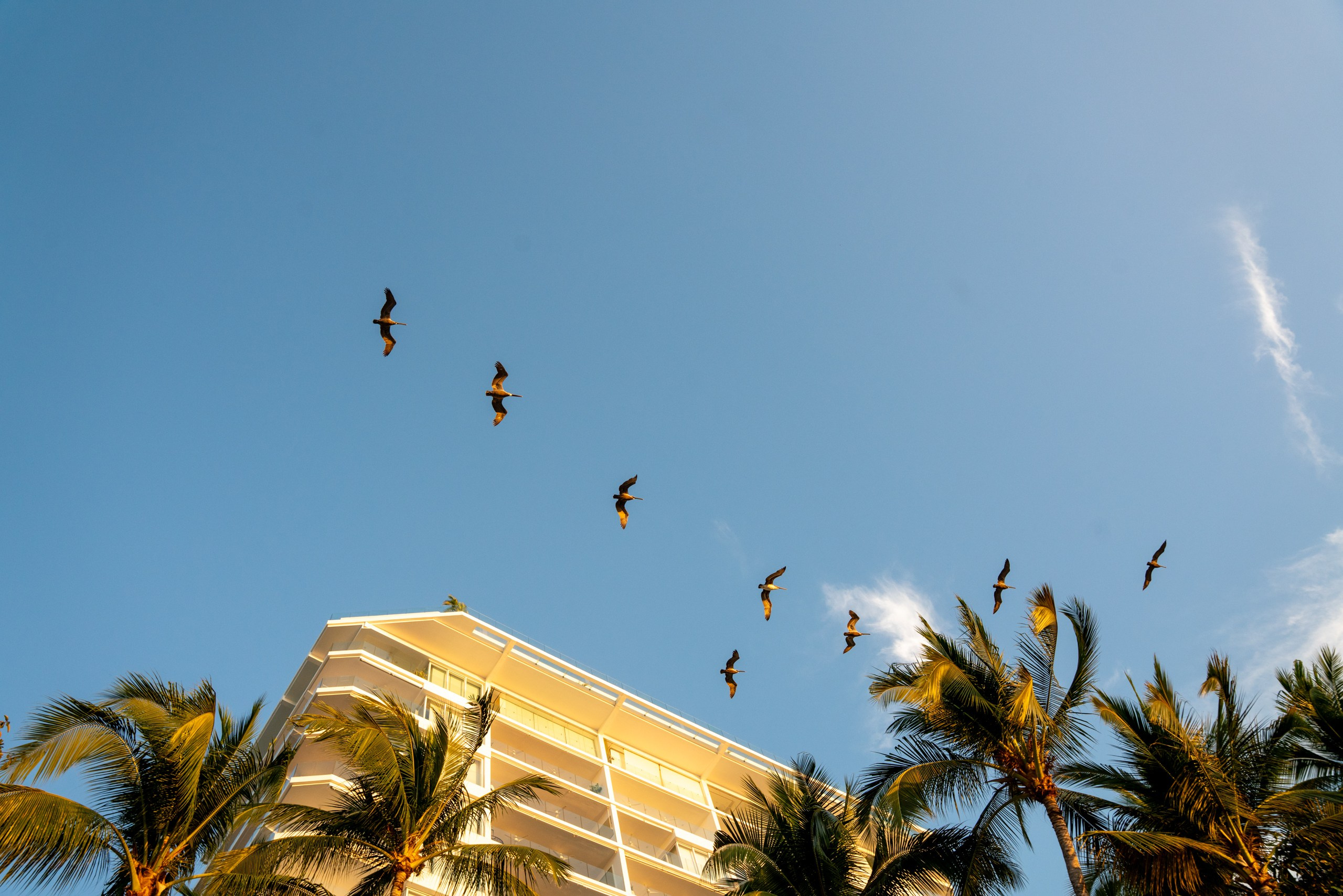 MEMO & CLAUDIA | PUERTO VALLARTA MEXICO. Elopement & Lifestyle Wedding Photographer