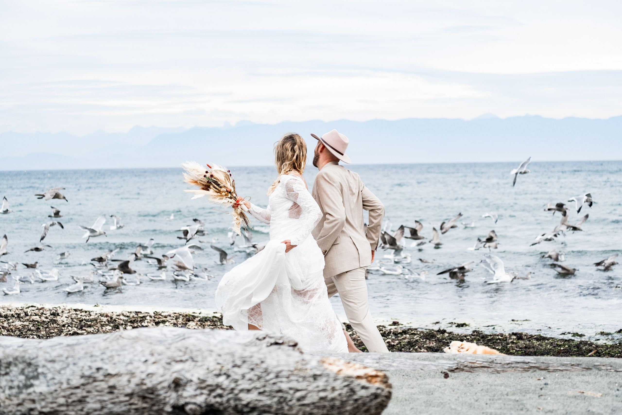 One wedding story. Artparadox_Snapforge