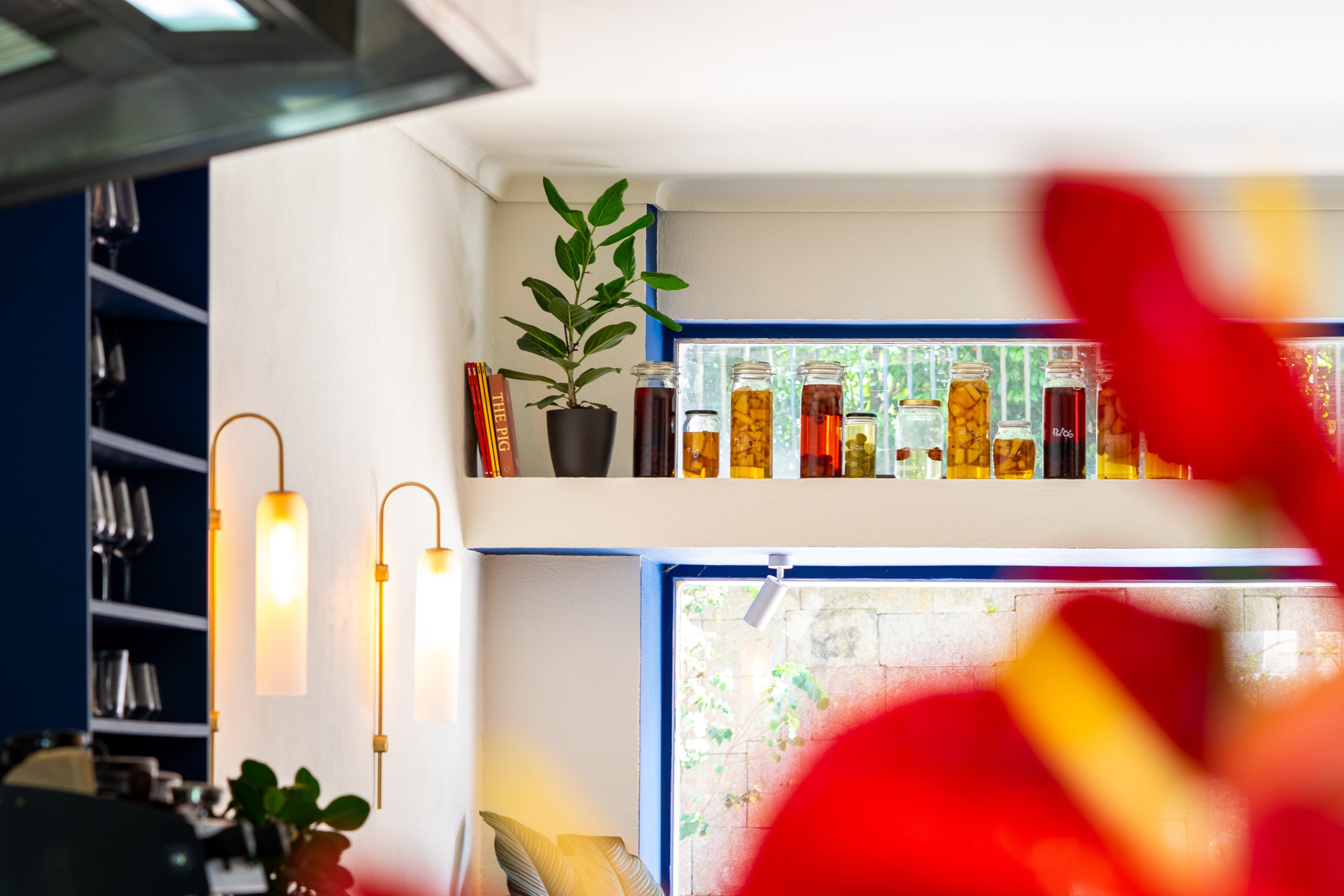 Borboleta. Мария Шер. Профессиональный фотограф в городе Порту, Португалия