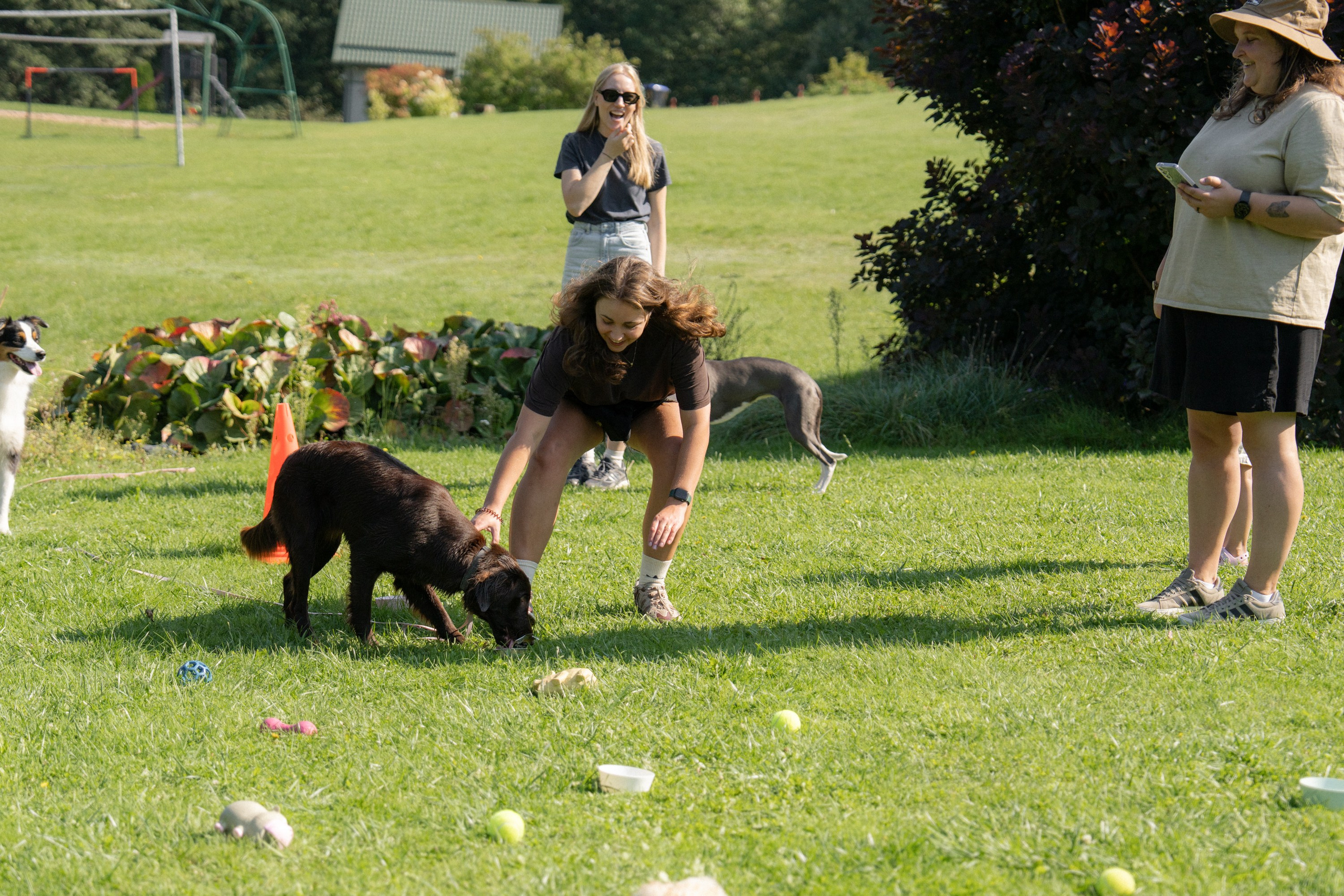 Heppi Dogo fest 2025. Vita Klimaševska ○ Fluffy Soulmate Photography
