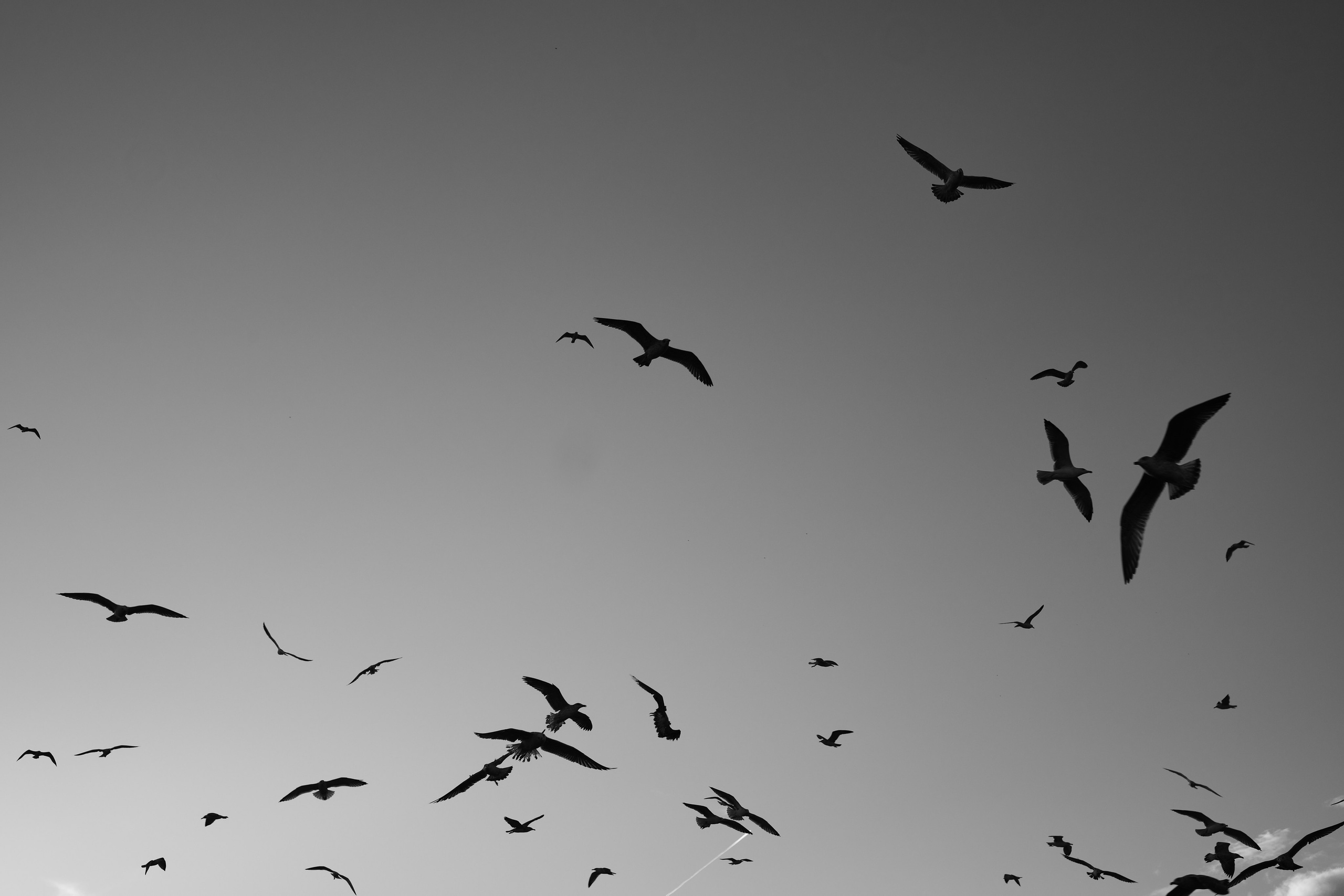 Street photo, Istanbul by Petr Nabutov