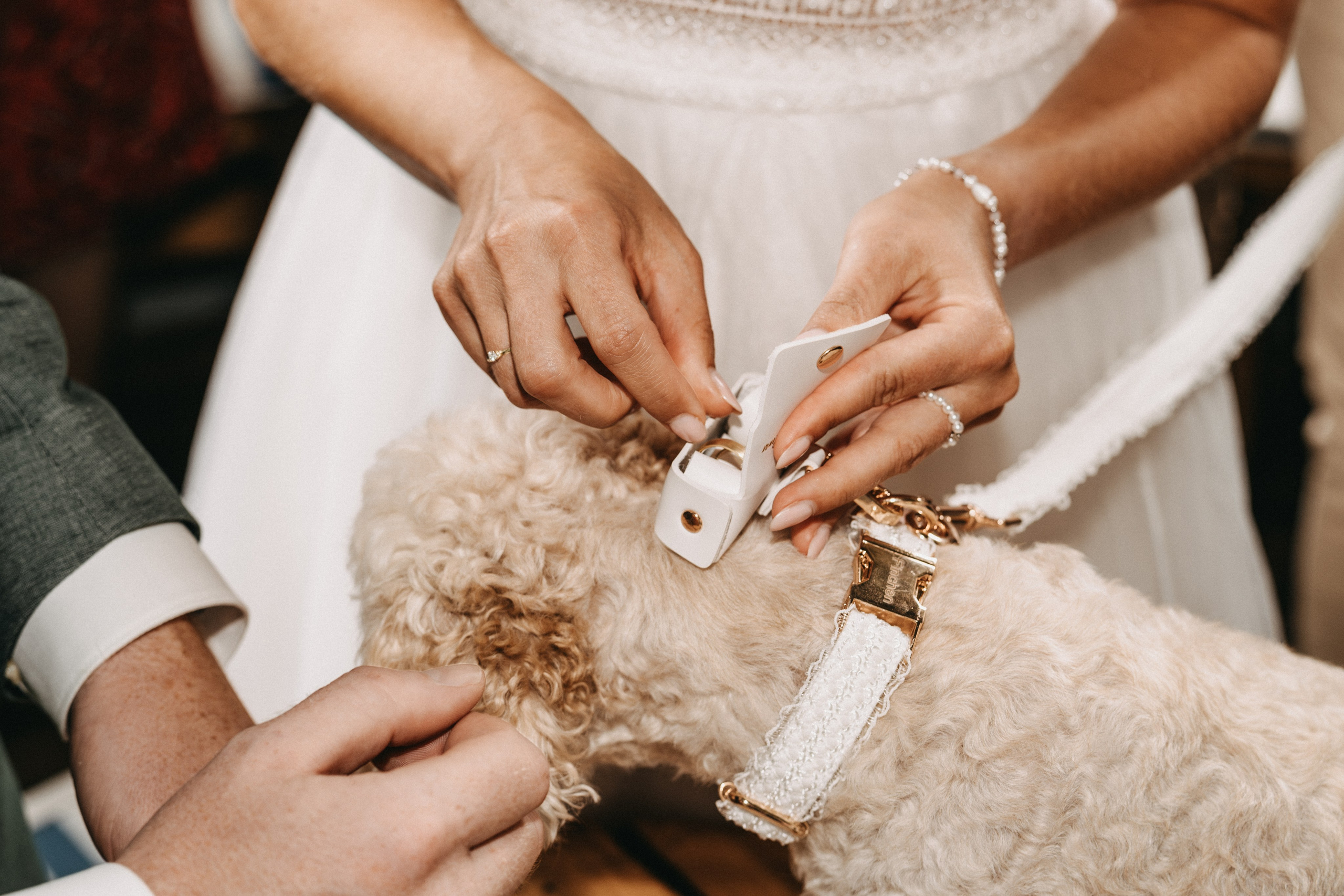 Hochzeit - Ann-Kristin & Roman. Thorben Ihler - Dein Fotograf aus Emden