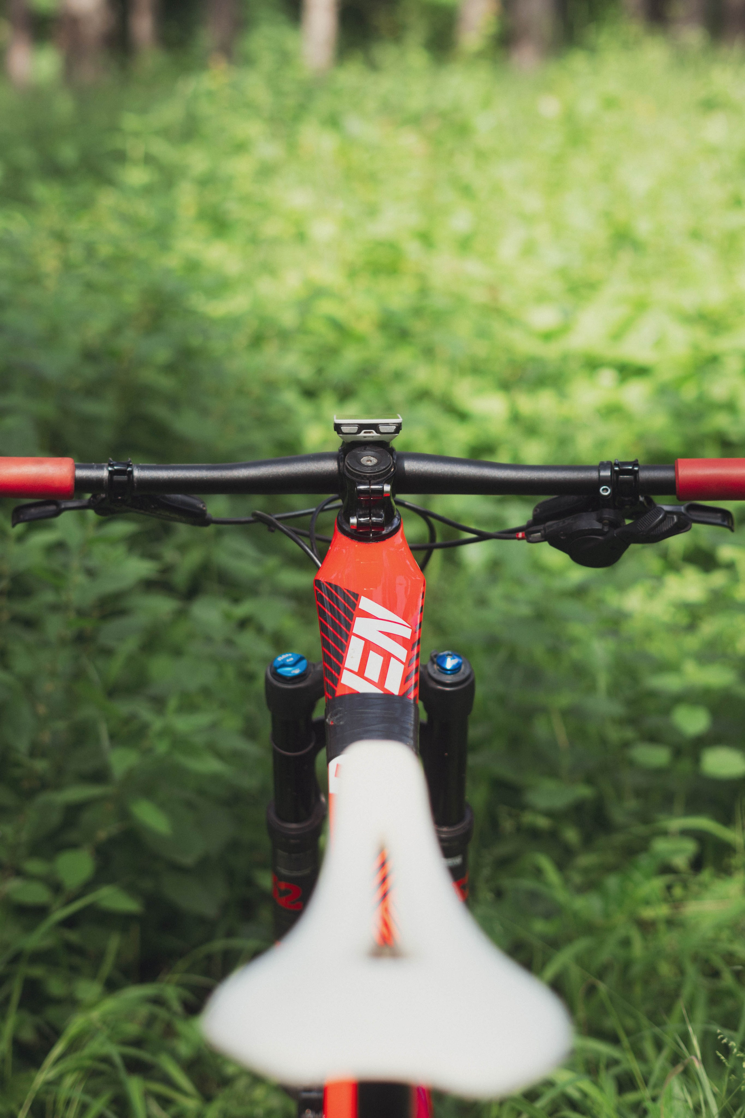 Redbull. Жуков Студио