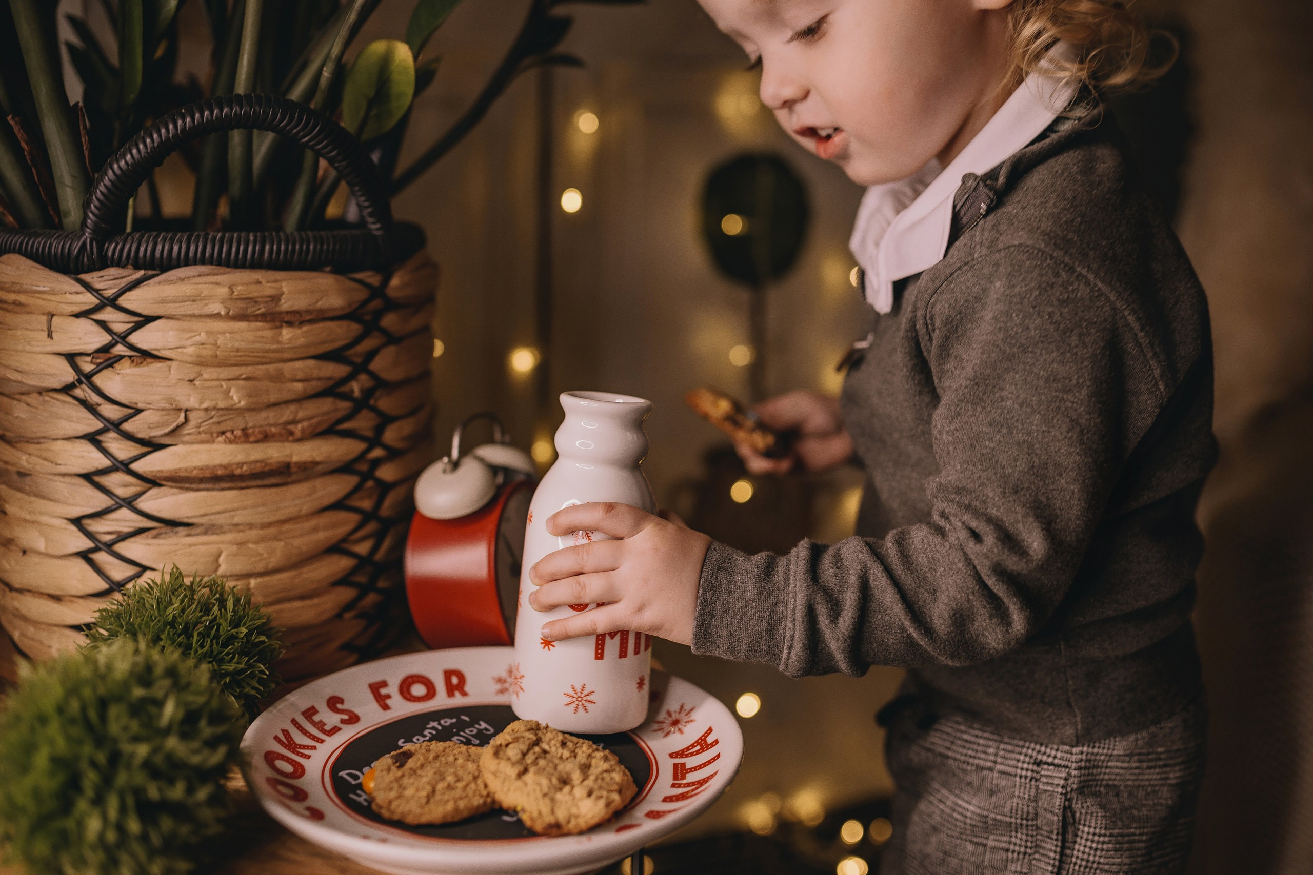 11.16.2025 Christmas Photoshoot. Wedding family event photographer in Chicago Nick Yushevich