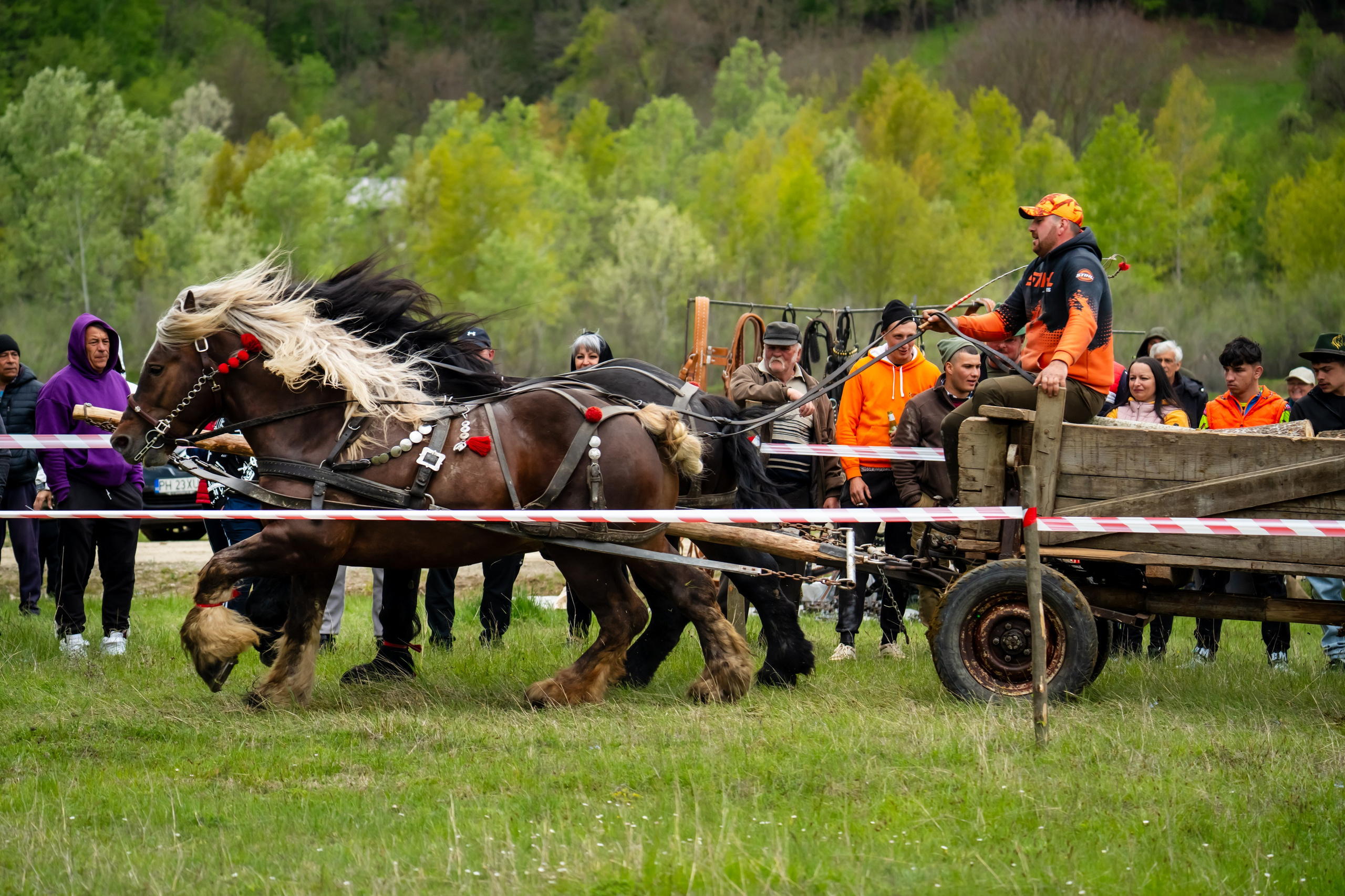 Concurs Ecvestru Vărbilău ediția a 4-a. Mihai Alexandra Events