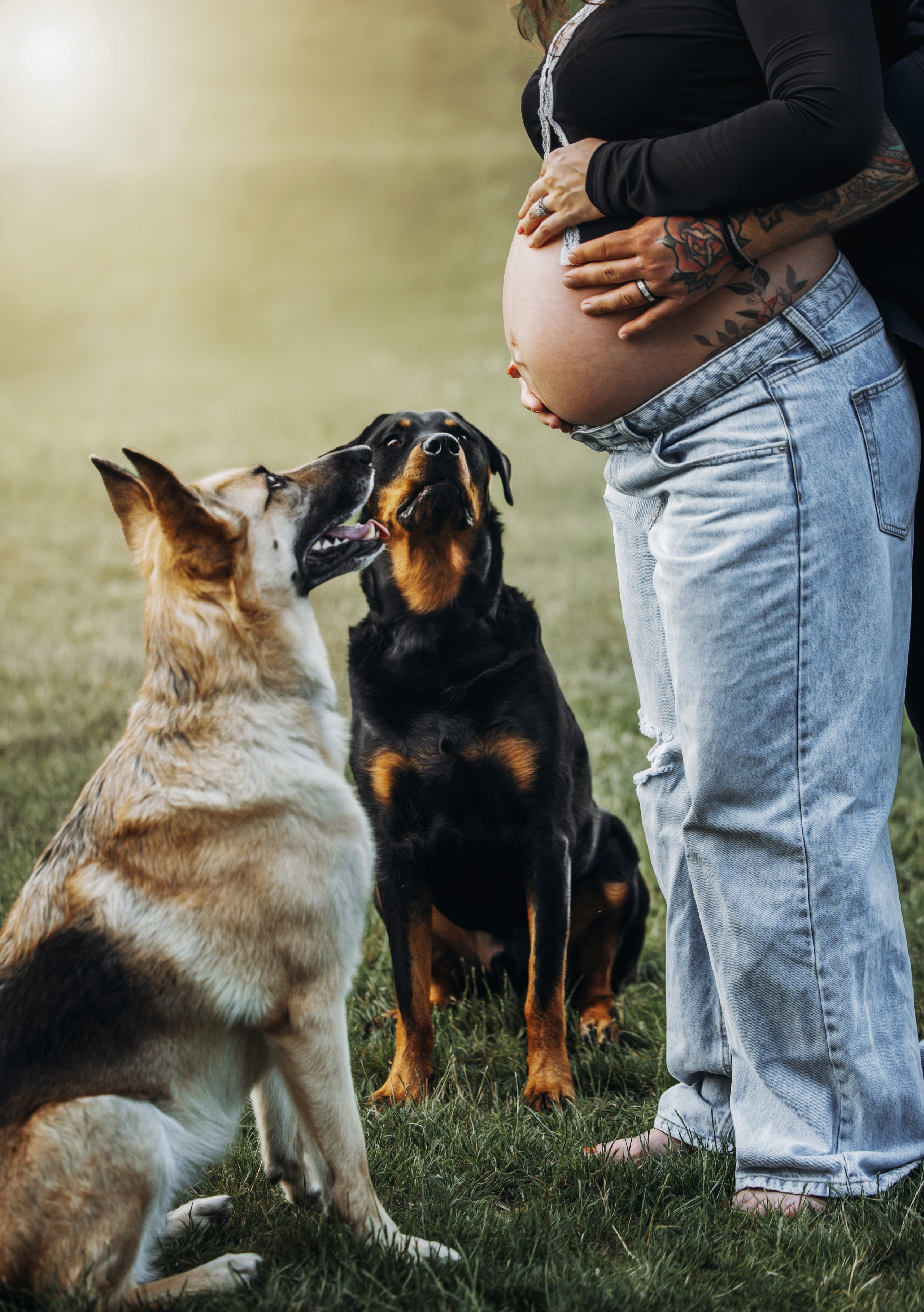 Pet Photographer Viktoriya Aleshenko