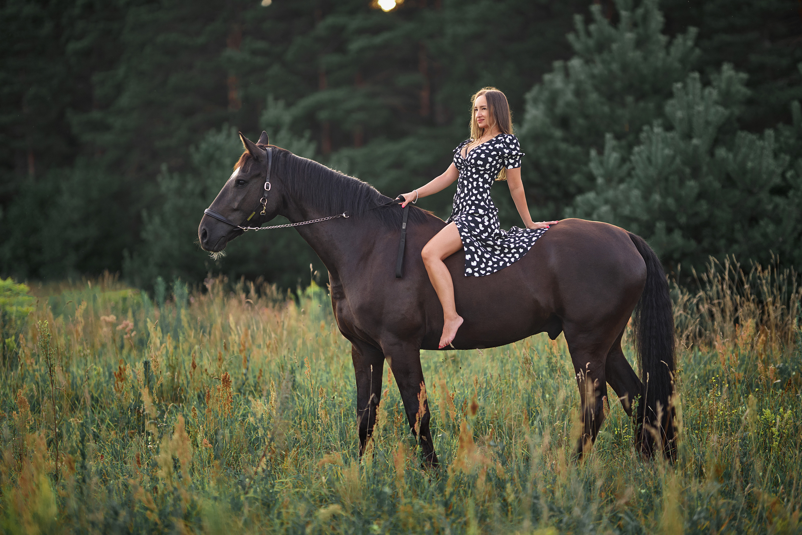 With Horses. Youdusha.com