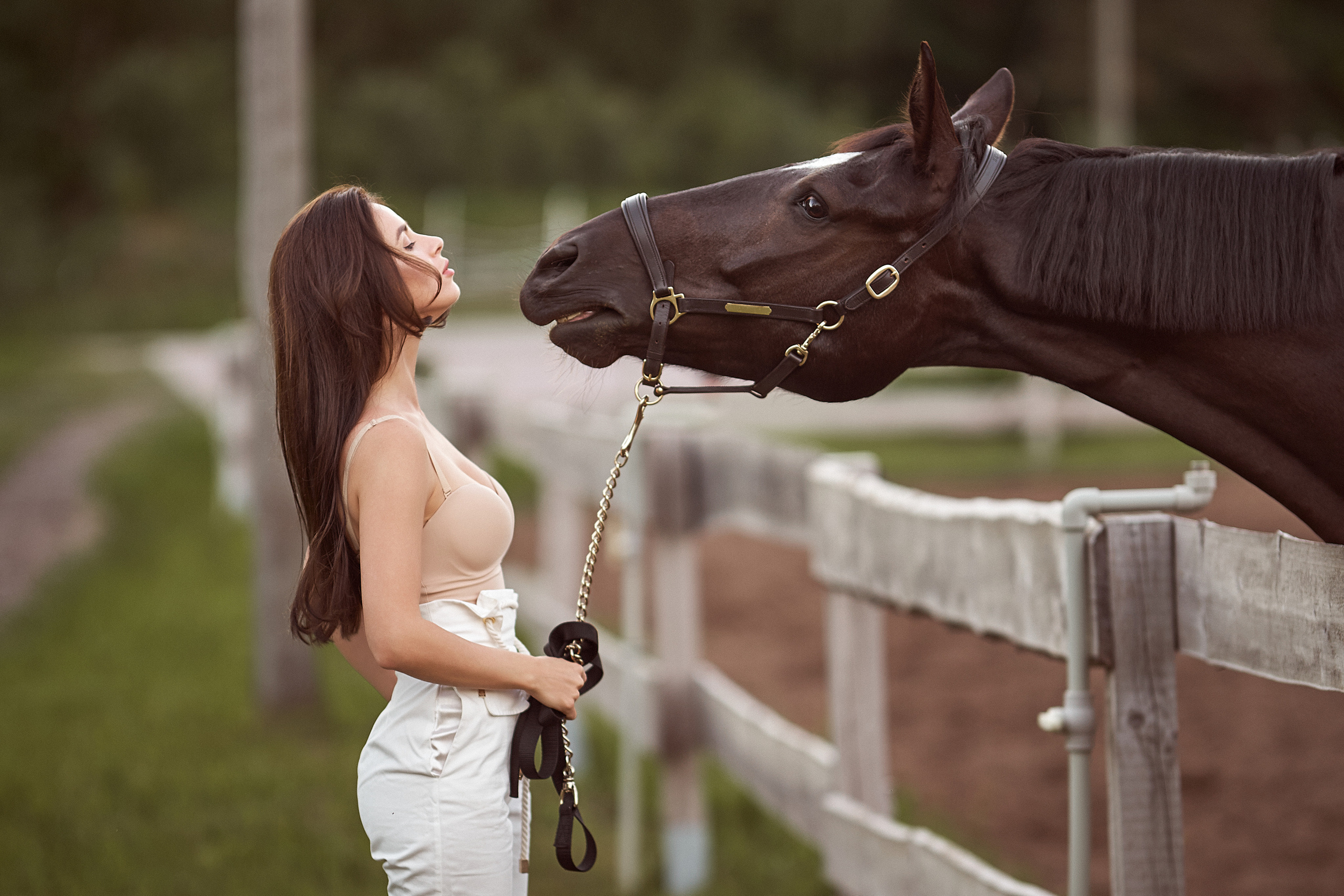 With Horses. Youdusha.com