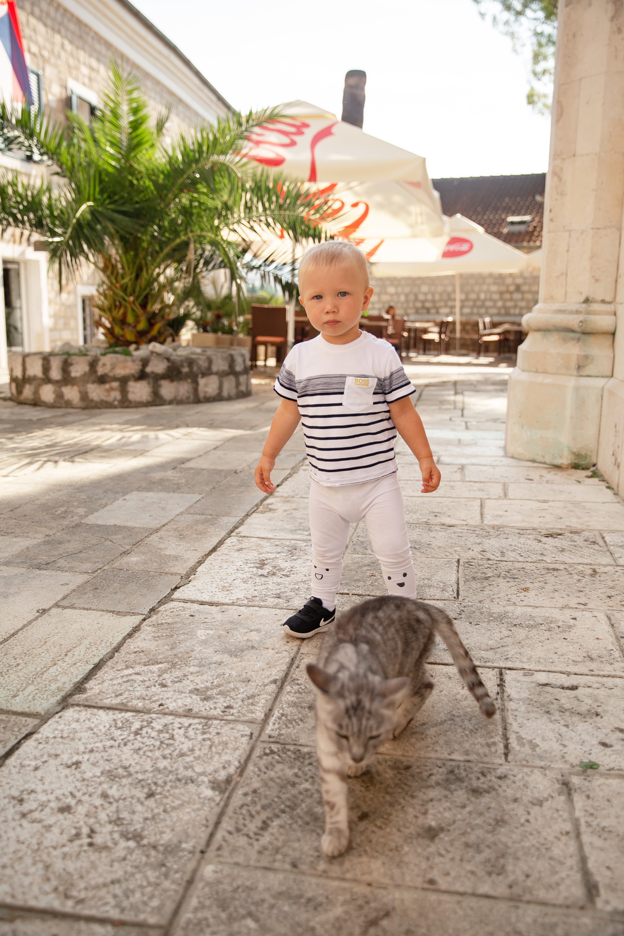 Fotograf i Montenegro - Herceg-Novi
