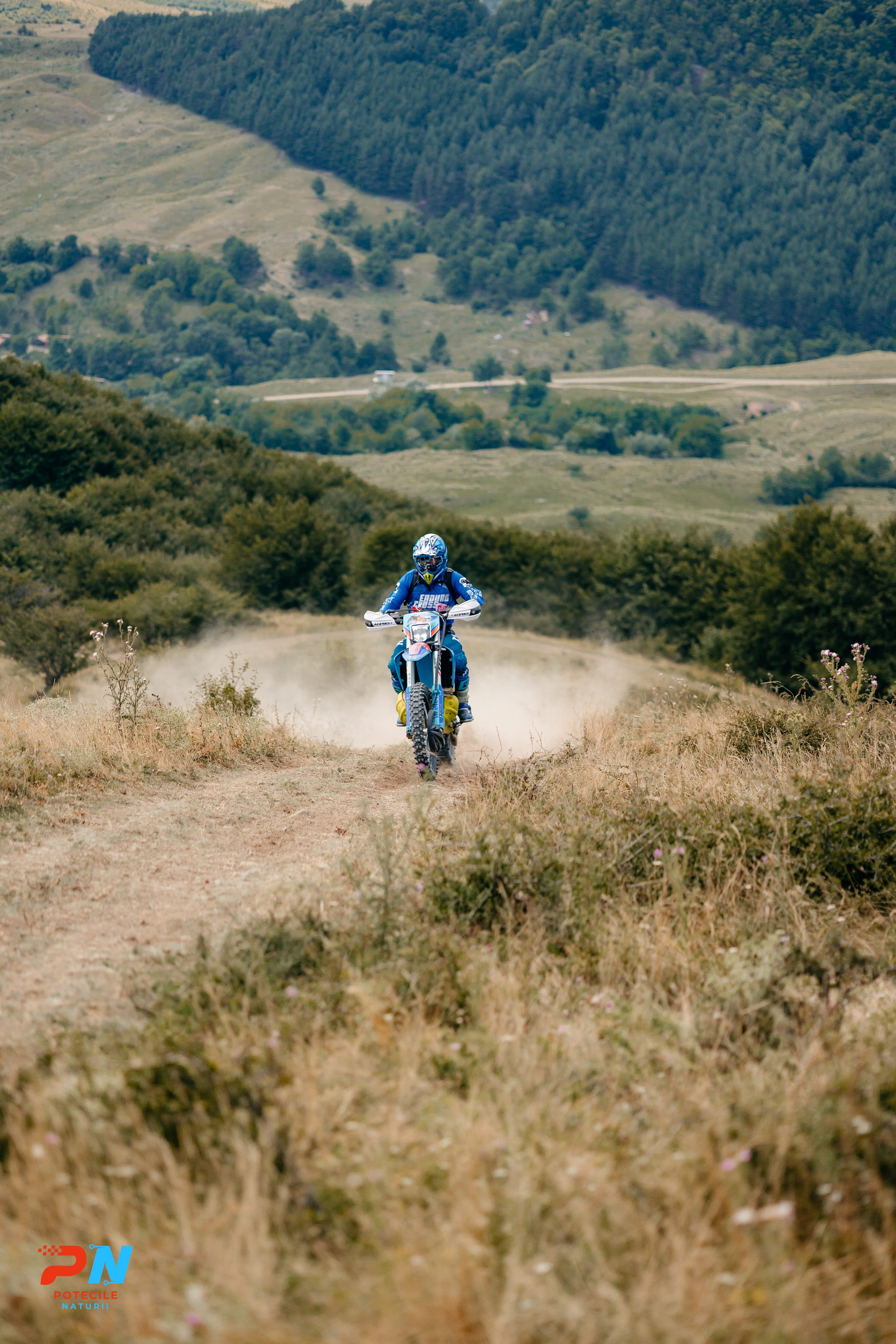 Potecile Naturii 2025. Raw Studio. Fotograful tau de nunta!
