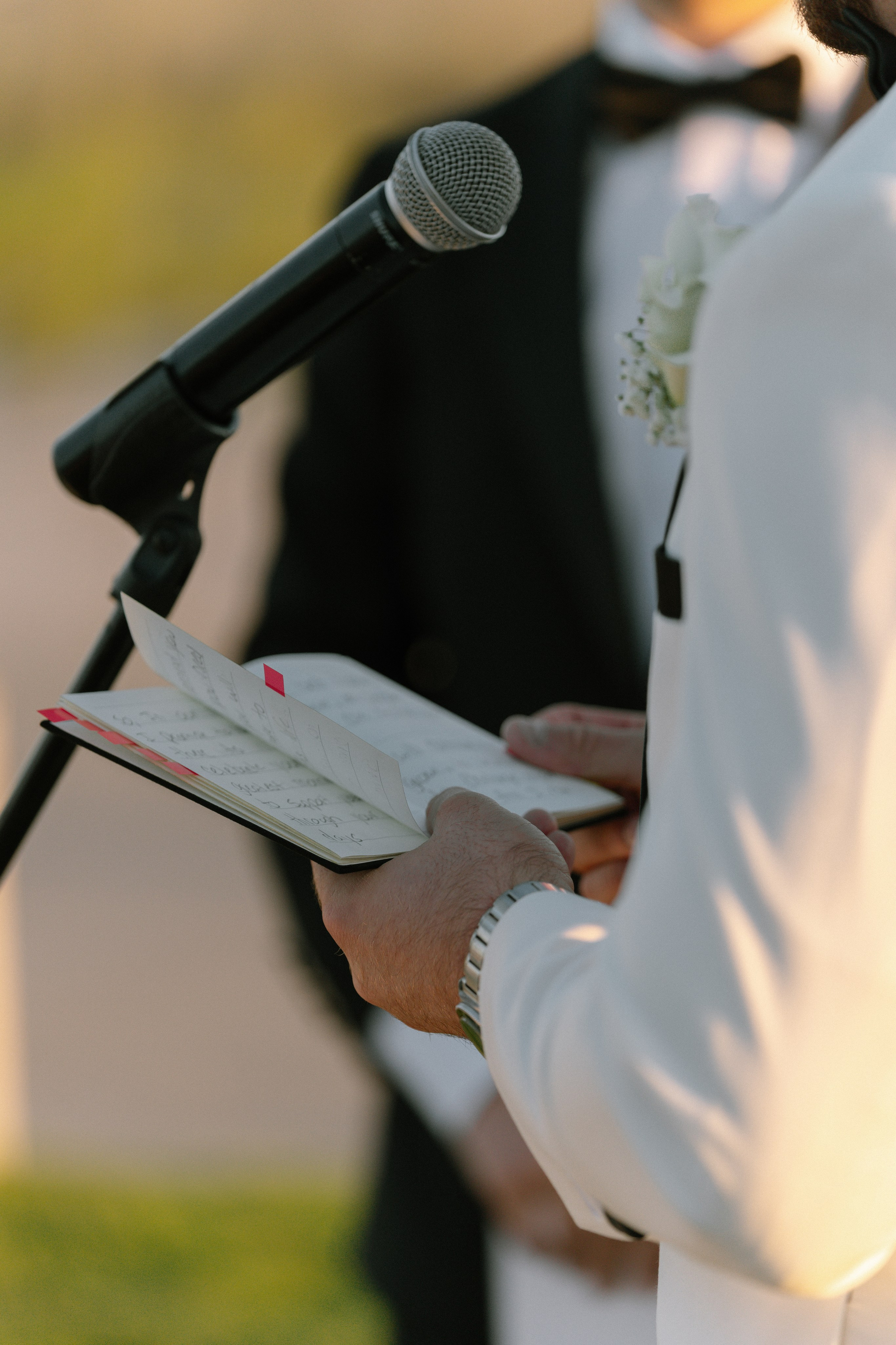 Alexandra and Daniel. Anna Krasnova Wedding photographer