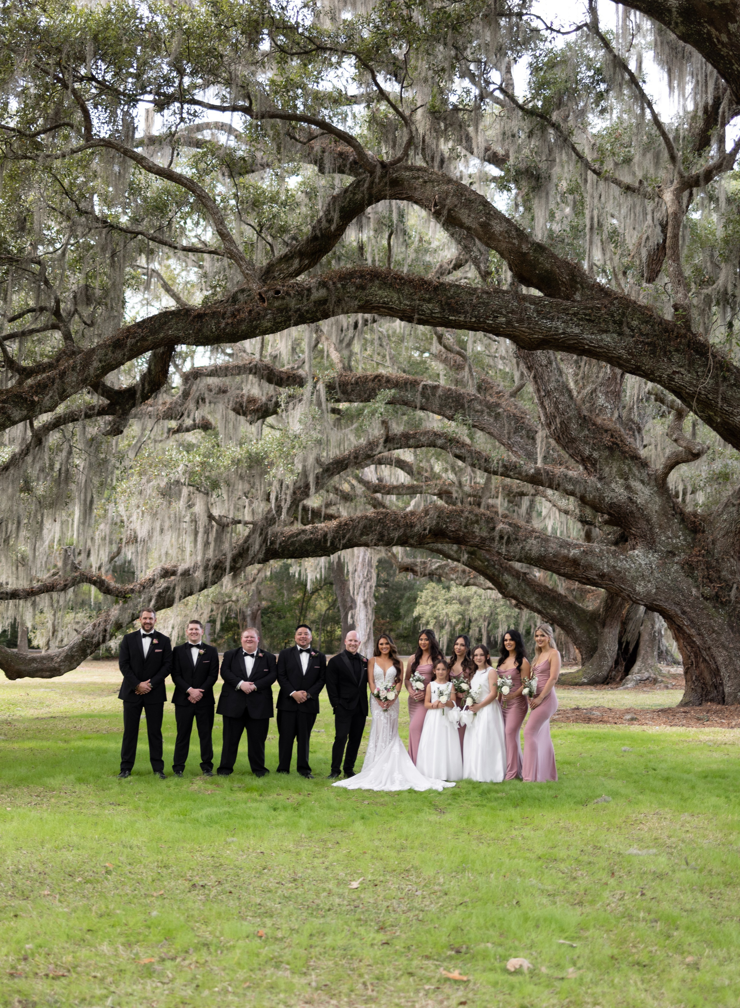 Vasylton Studio• Wedding Photographer | Capturing moments, preserving memories