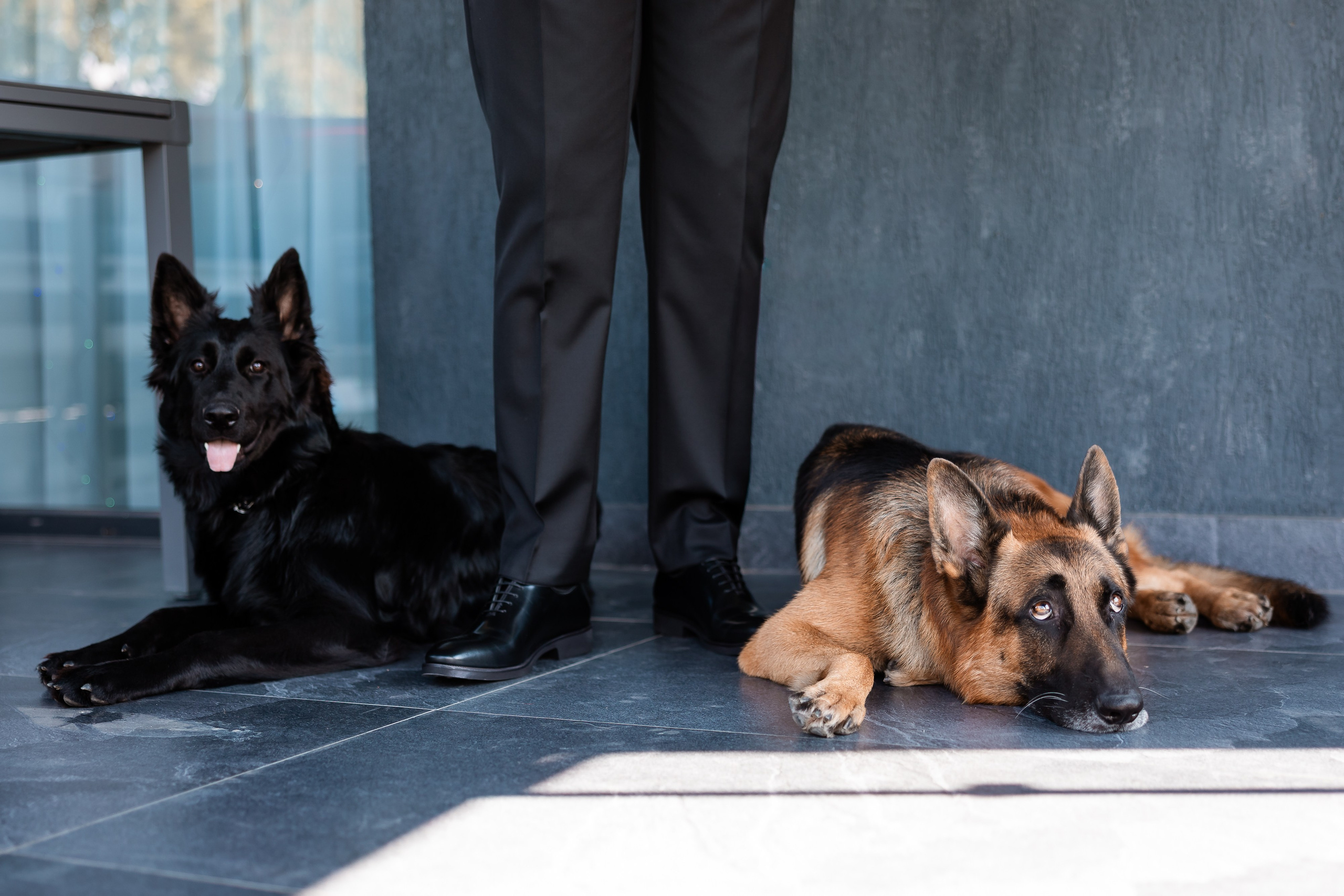 Corina & Adrian. Blink Photo — Fotografie & Videografie Nuntă