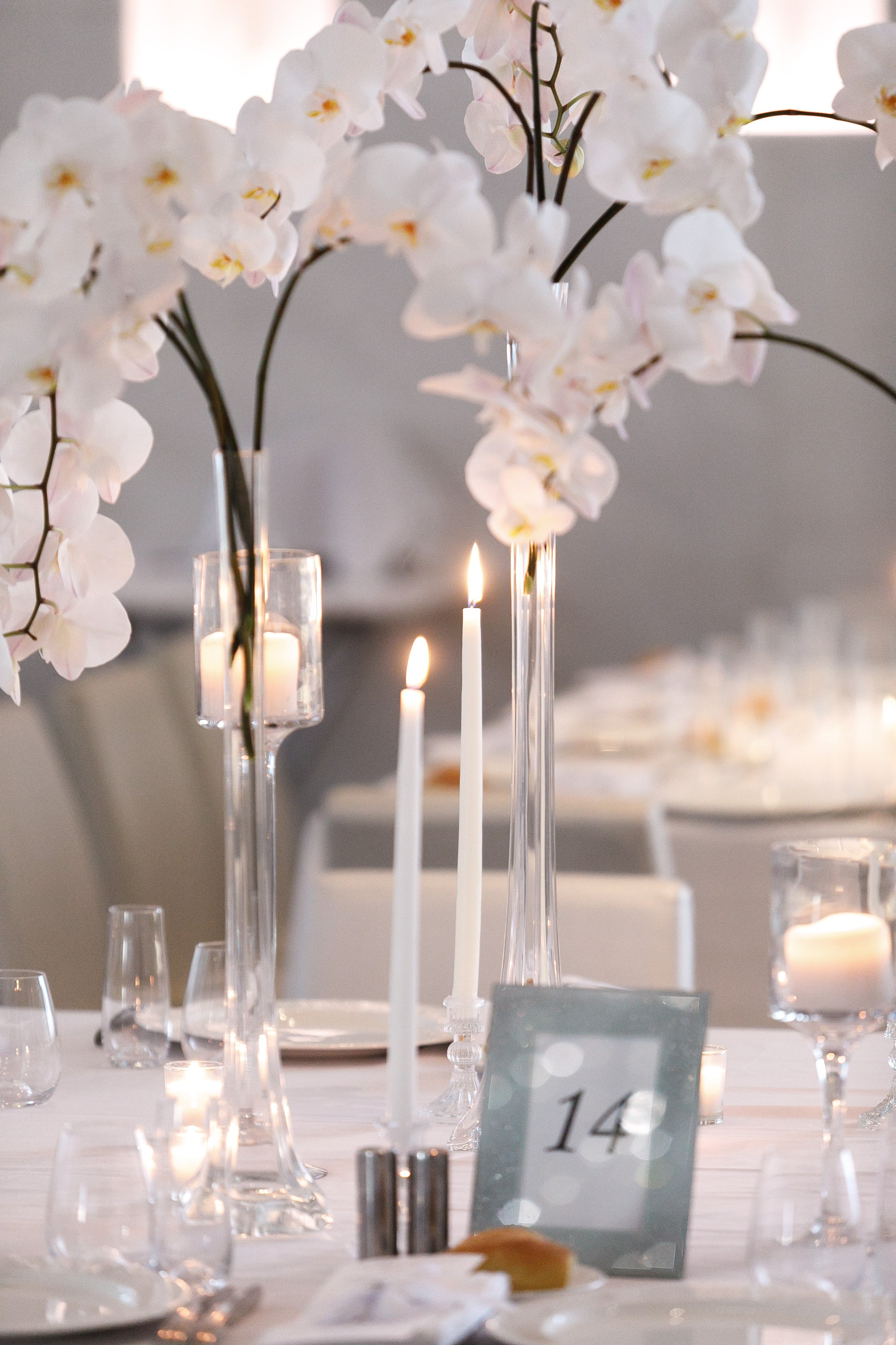 Alessia & Forrest. Wedding Photo & Video