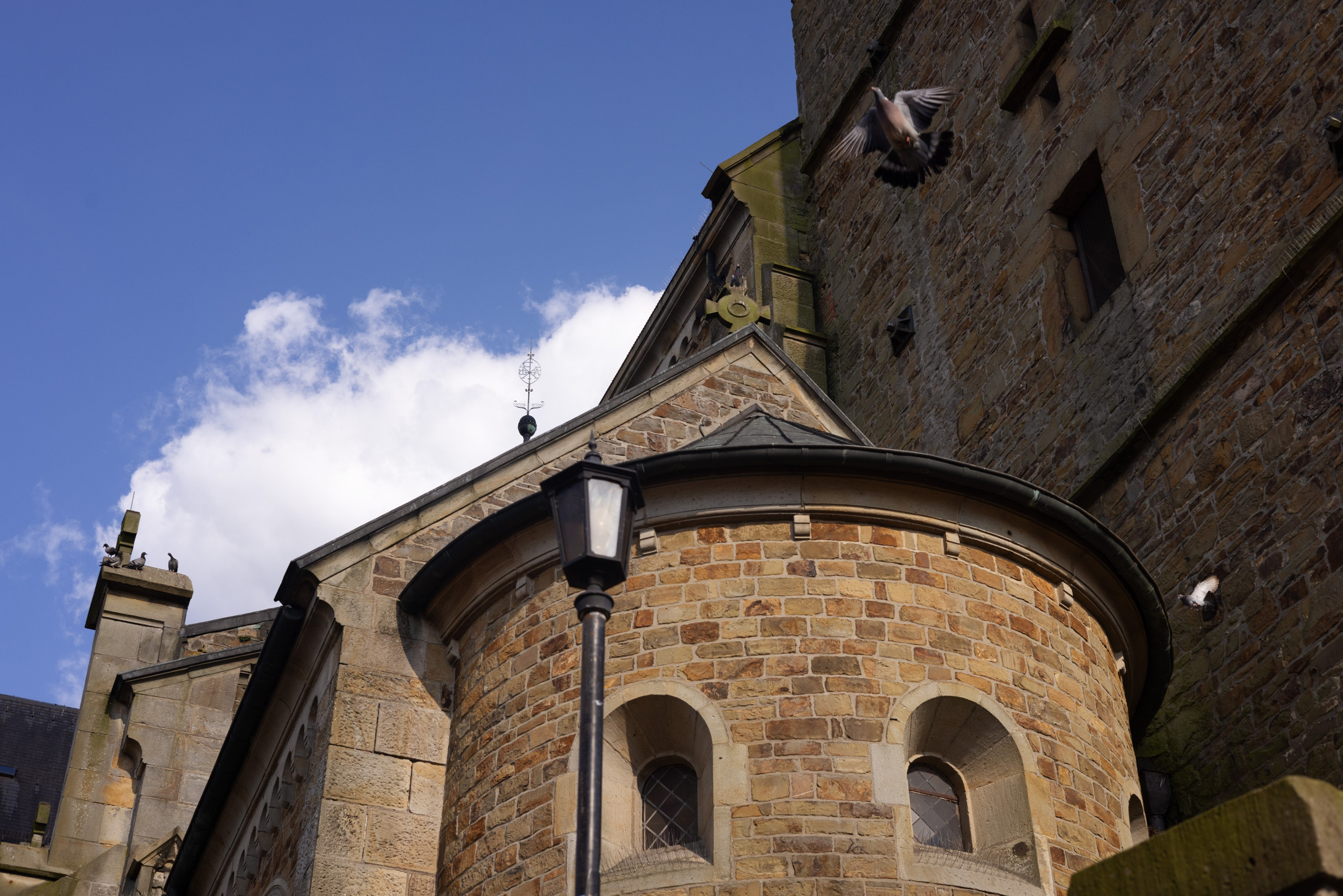 PORTRAITS. Fotografin und Videografin im Raum Osnabrück und Emsland Alla