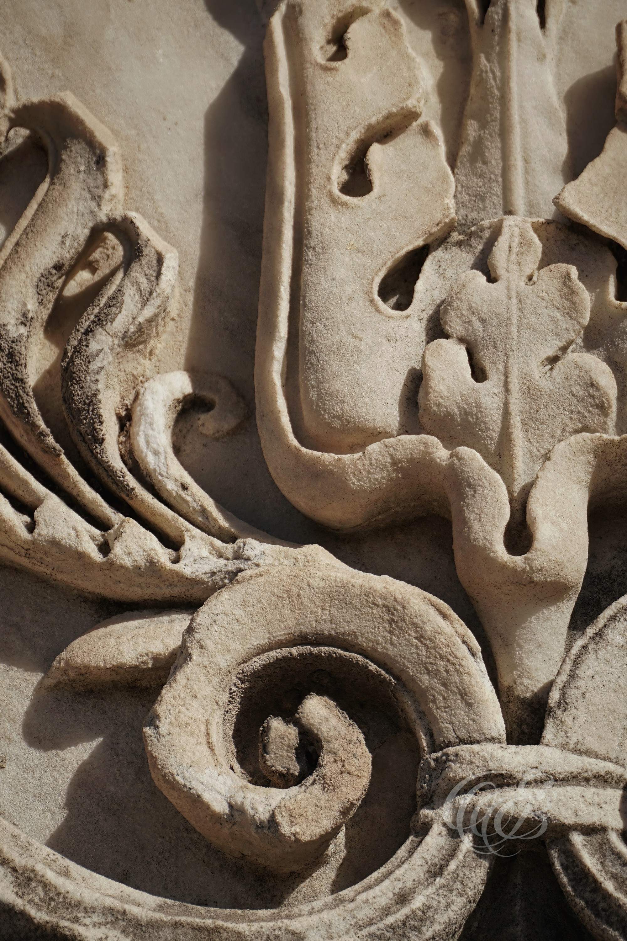 Photography of Italy — Roman Forum Marble Relief with Floral Motifs — Eduardo Bartoli Fine Art & Travel Photography