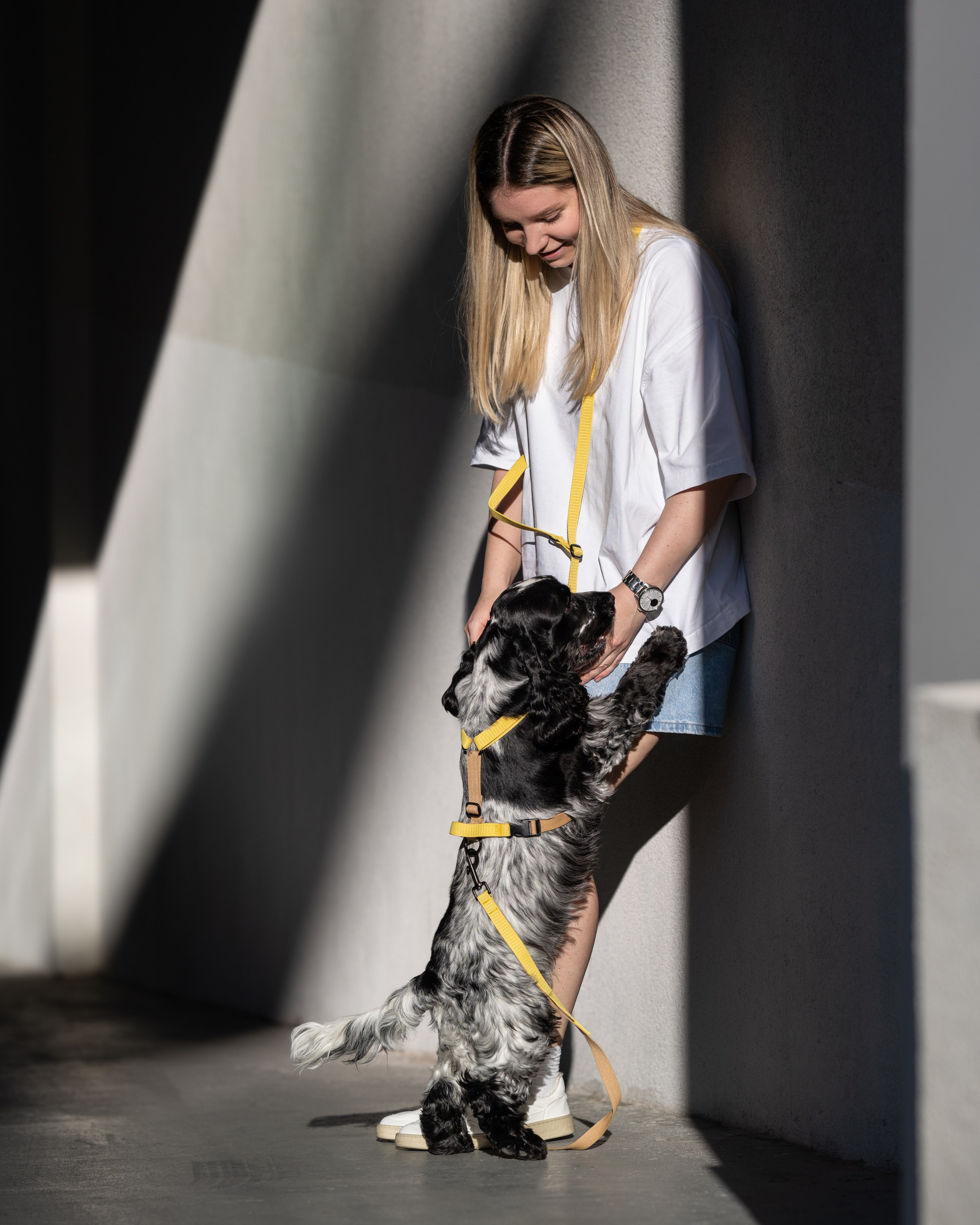 Commercial & UGC Pet Product Photography by Tanya Asfir. Tanya Asfir — Pet & Animal Photographer | Belgrade, Serbia