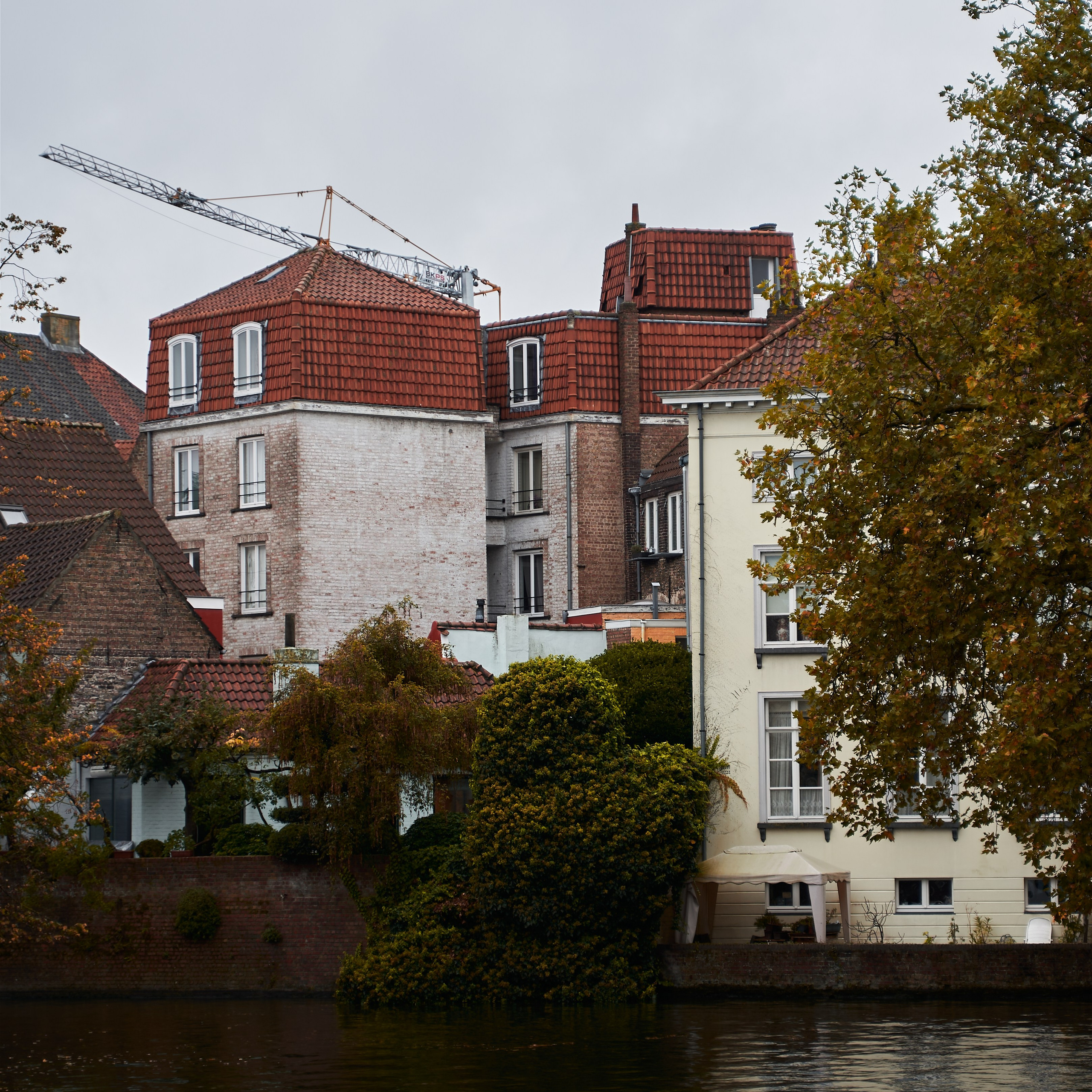 Belgium. Denshyr — Visual Artist