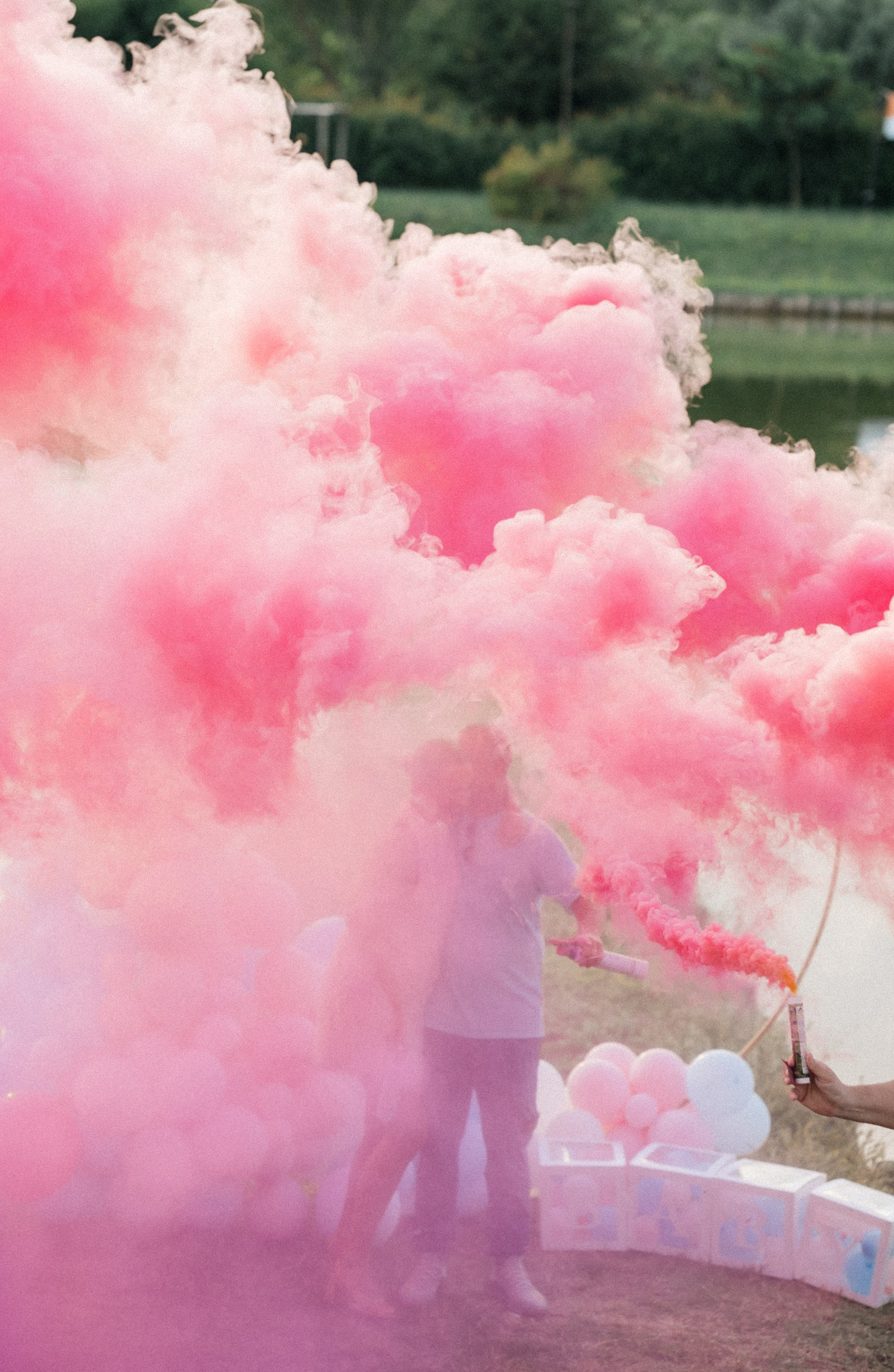 Gender party. Свадебный фотограф Виктория Саврук