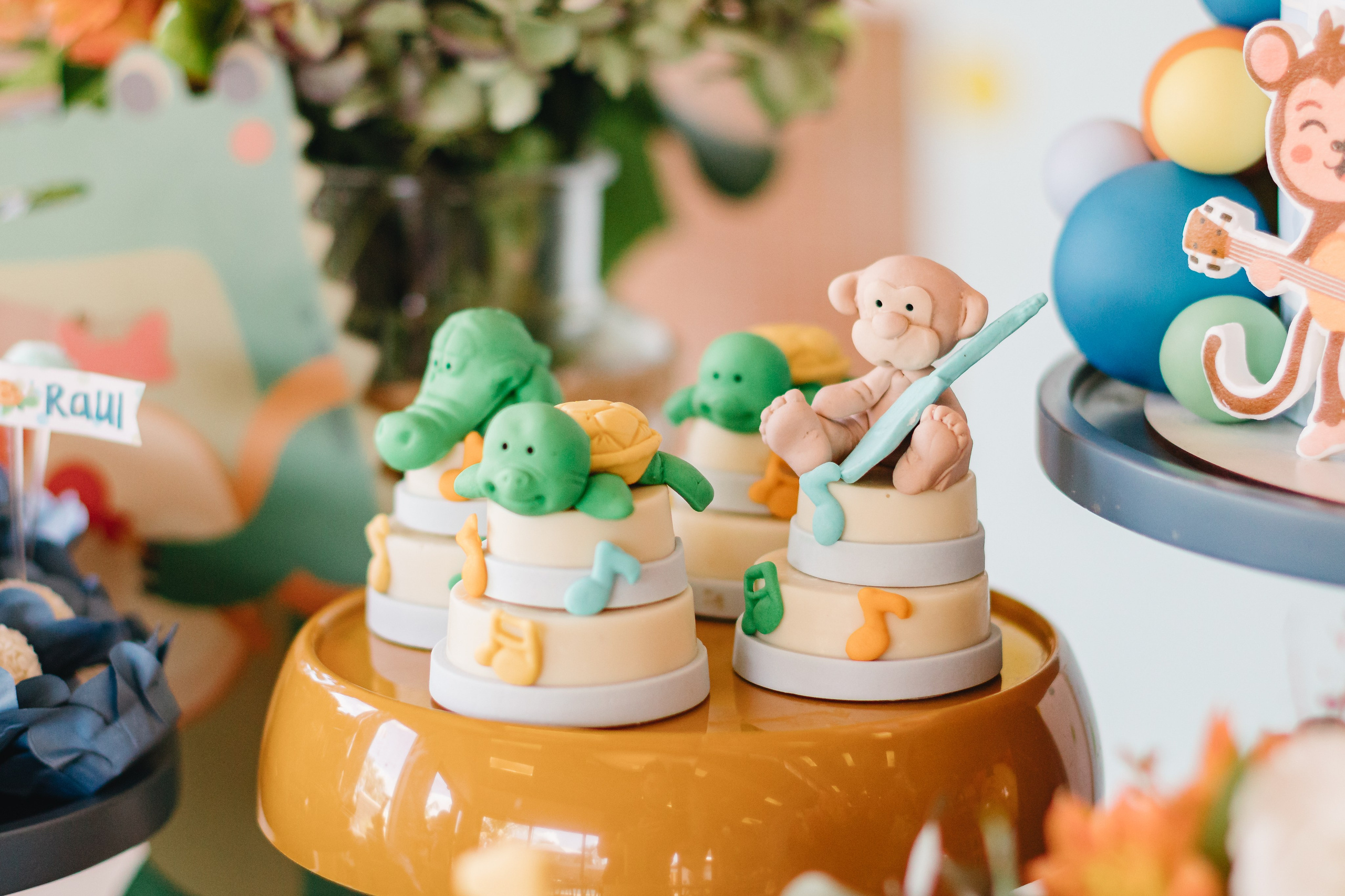 Raul — Aniversário 1 ano. Principal