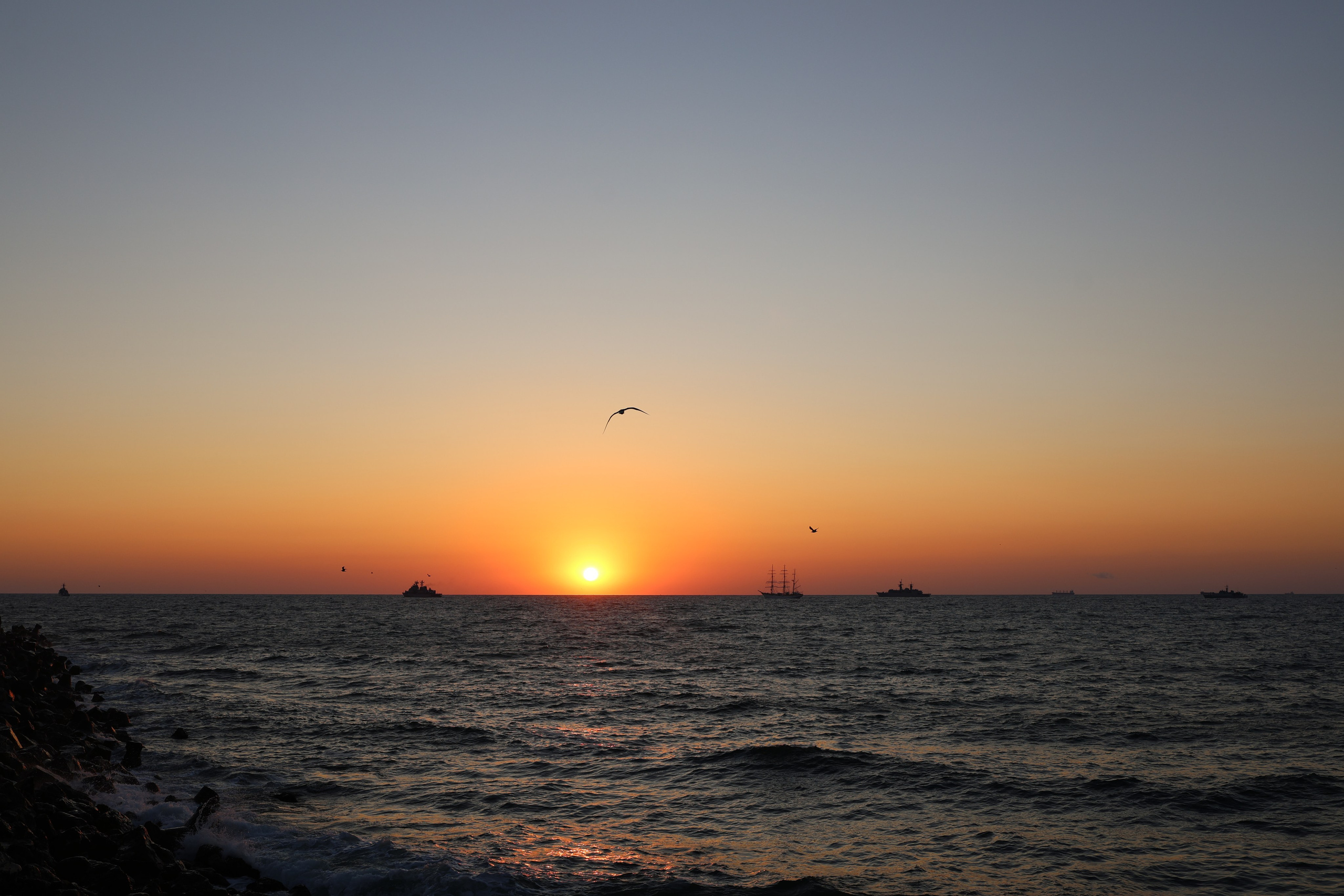 Fotograf. Lucrez cu oameni, produse și spații. Portret și fotografie creativă. Bacău, România. Lidia Savinoiu