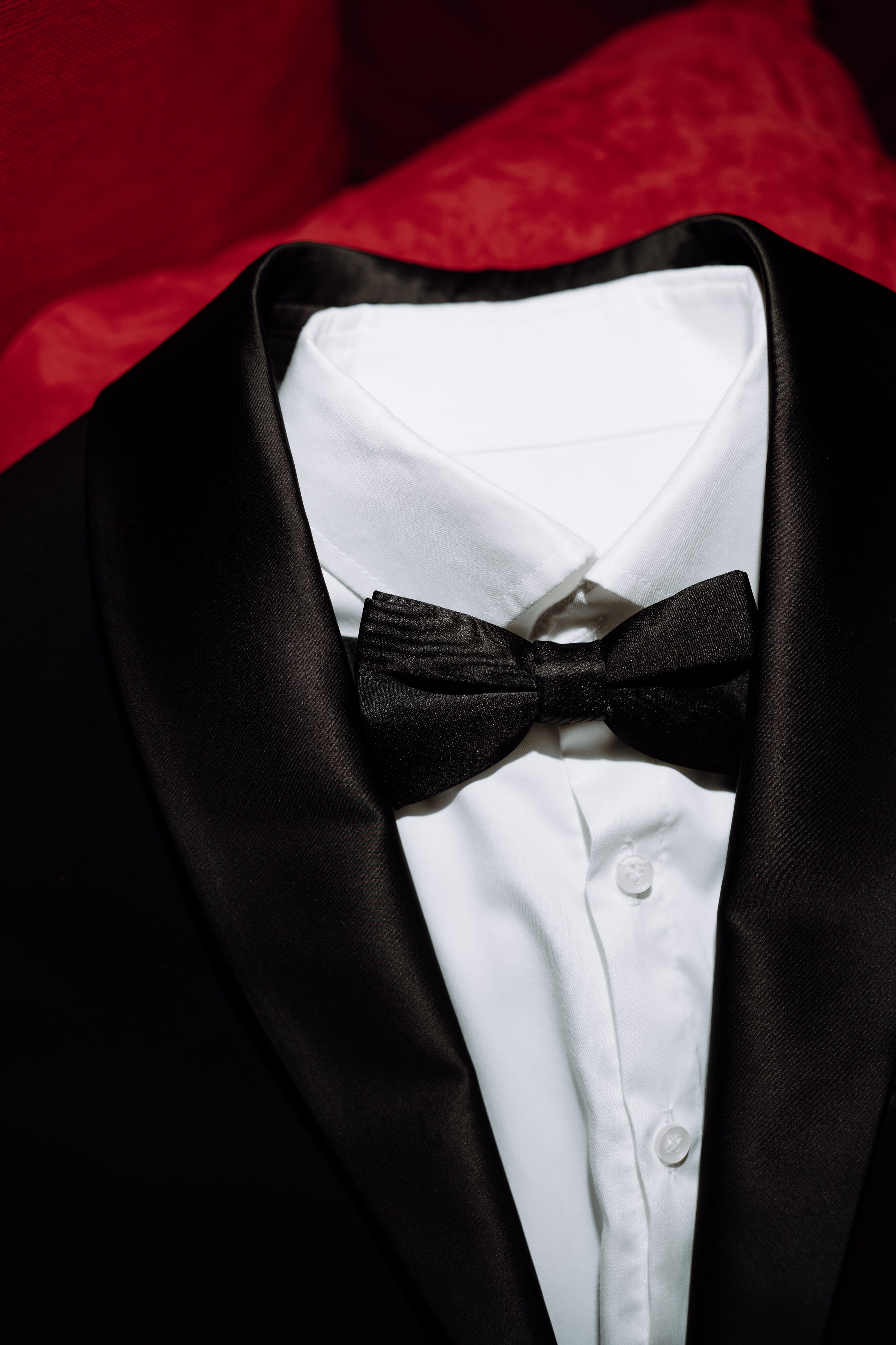 Stefan & Dorotea. NSJ — Wedding Studio