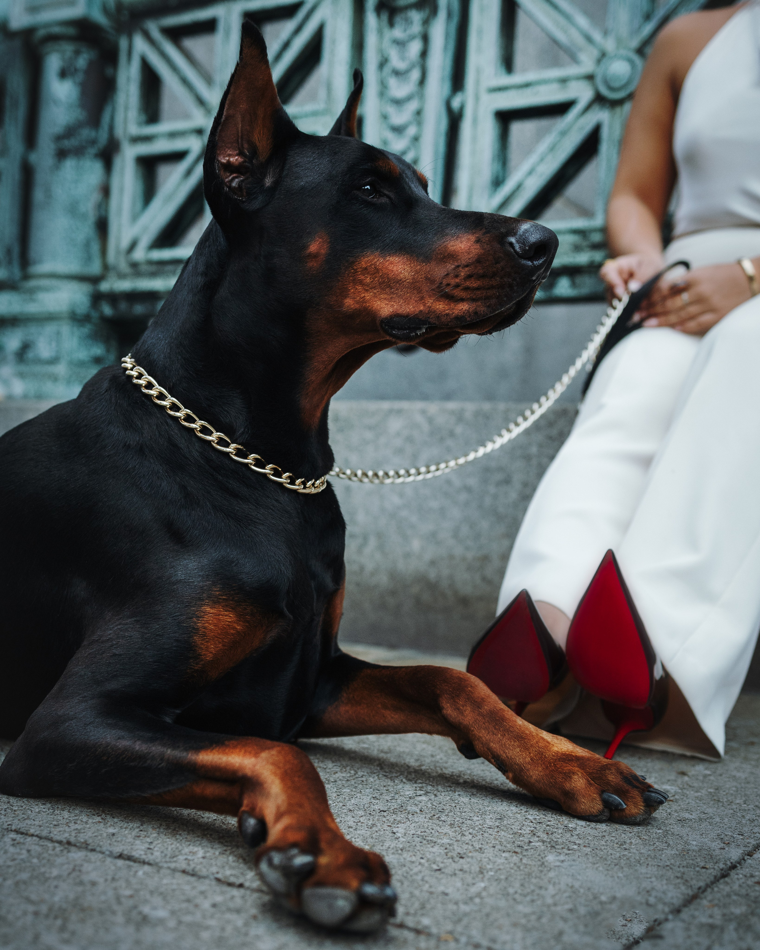 Enzo & Victoriya. Pet Photographer Viktoriya Aleshenko