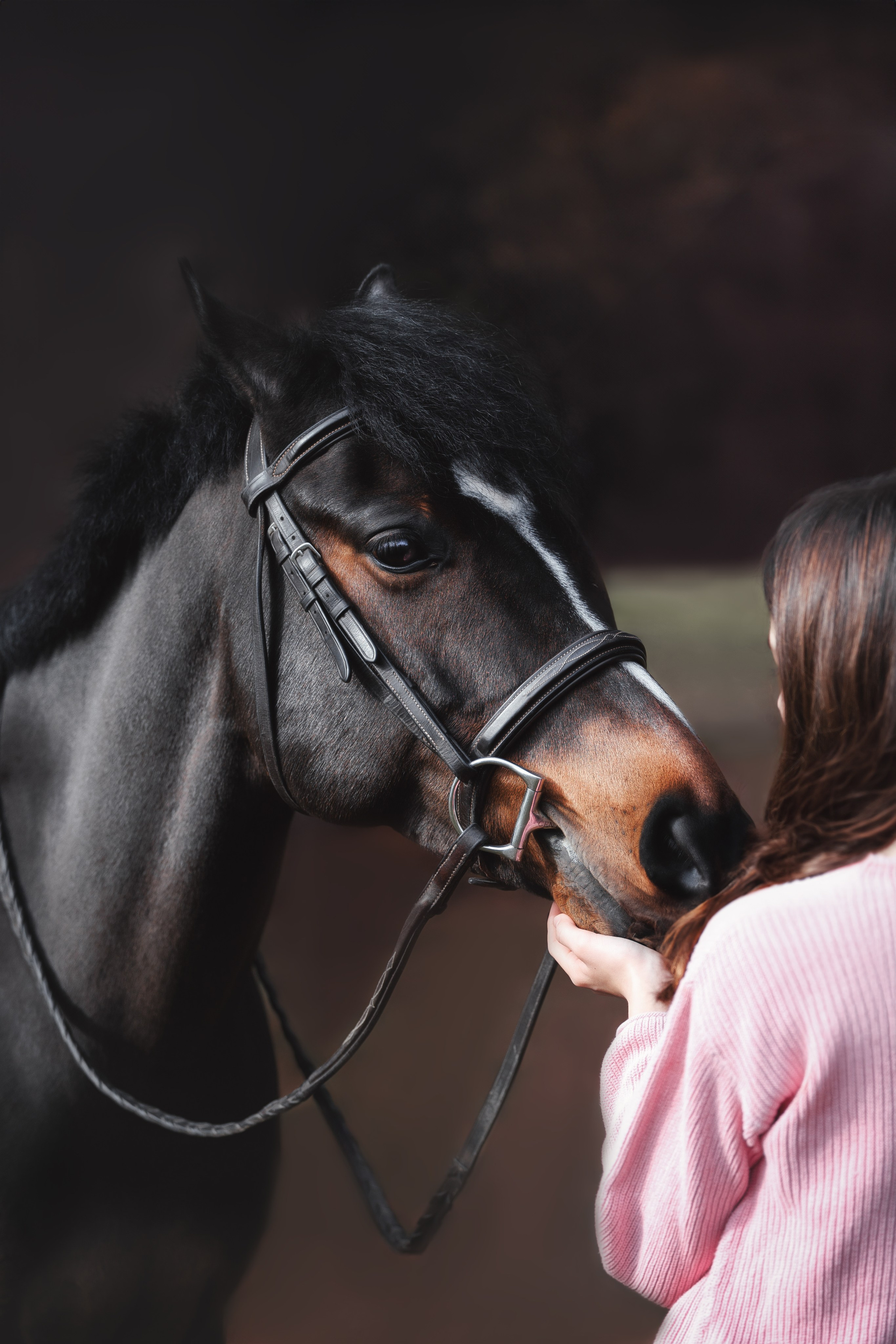 Whiskey & Ava. Pet Photographer Viktoriya Aleshenko