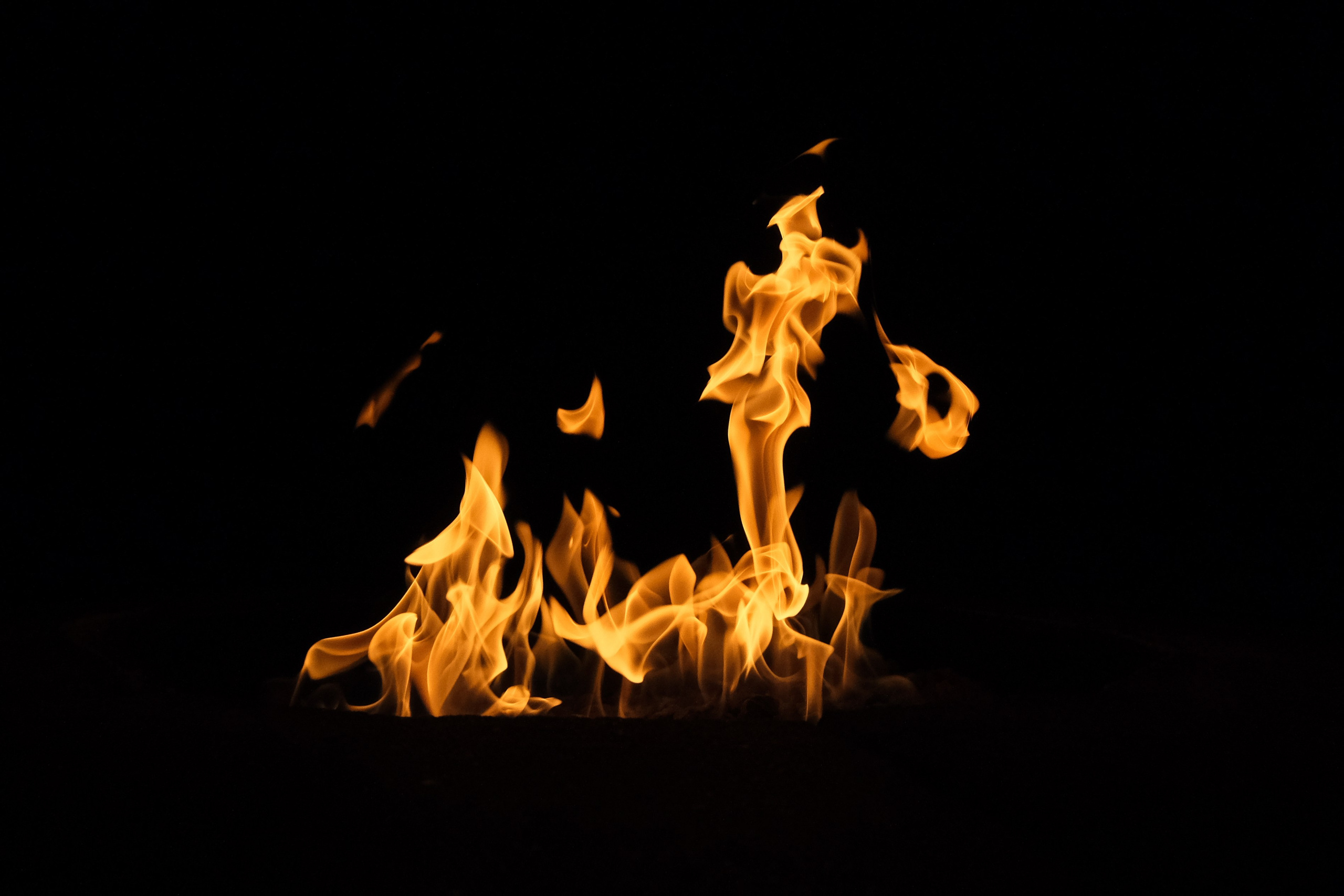 VATRA. Reportage concert portrait photography in the San Francisco Bay Area