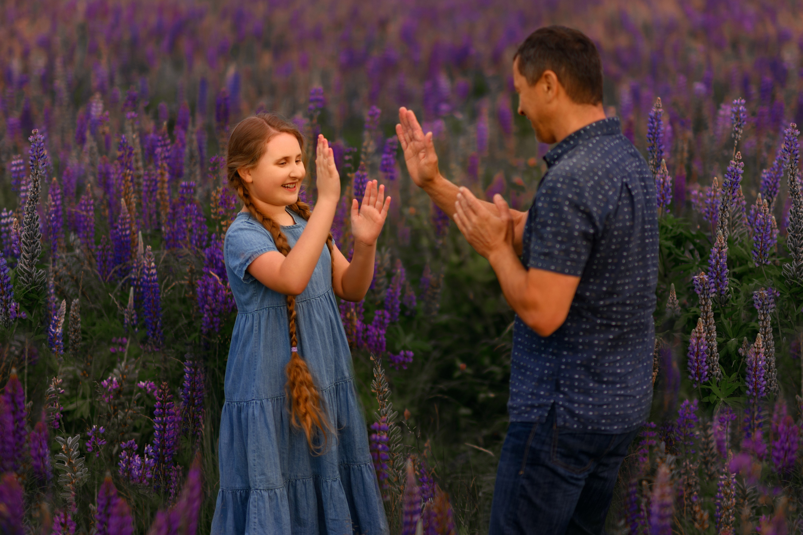 Field of lupines. Wedding & portrait photography in the Seattle Area. Helen Michelle photographer