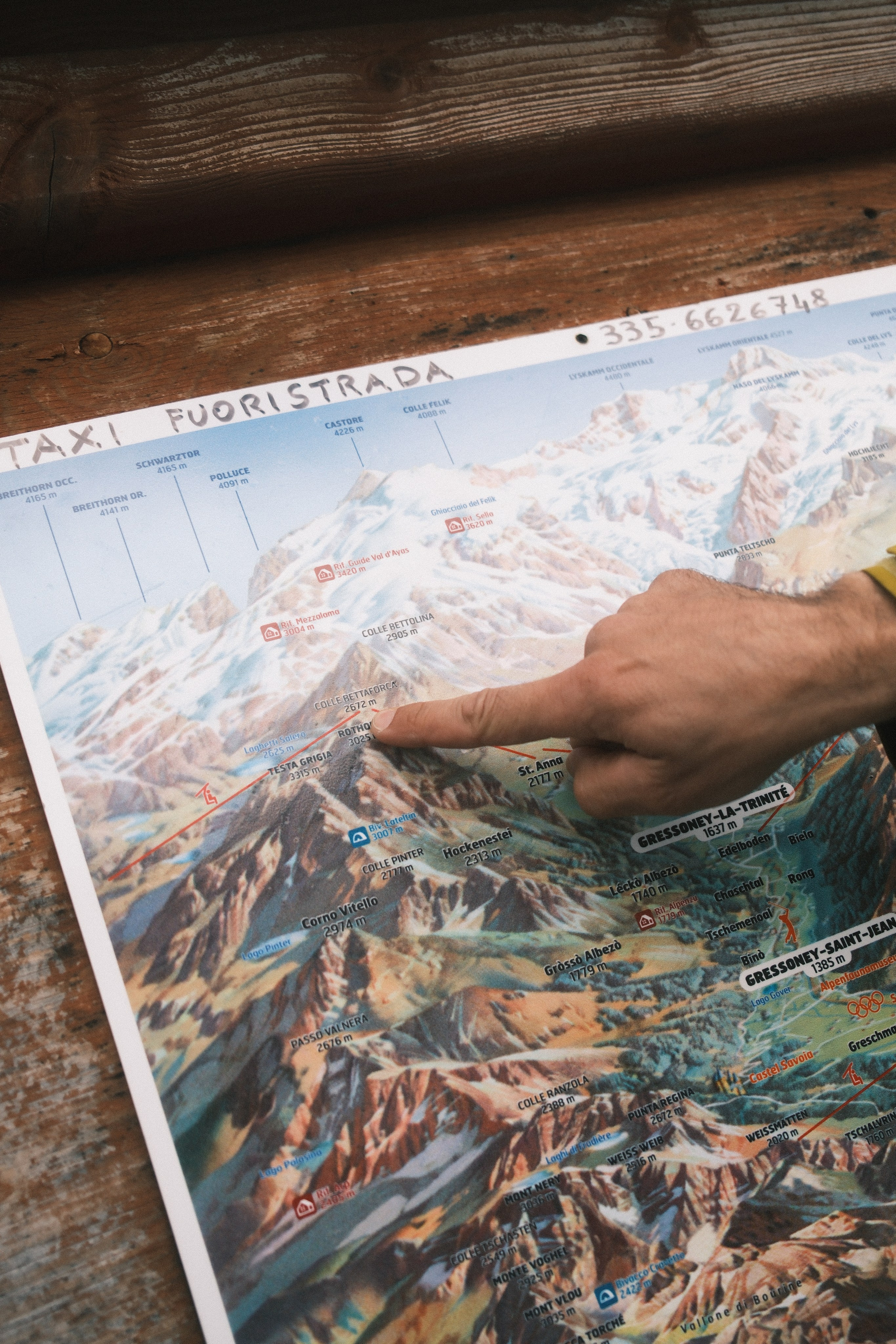 Castor. Patricia Morenci — Mountain Adventures for the Wild at Heart