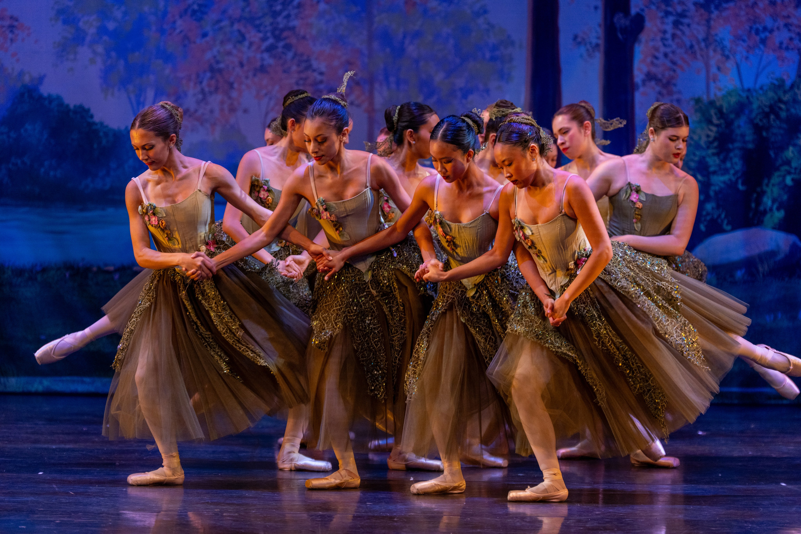 Ballet Photographer. Santa Clarita Photographer