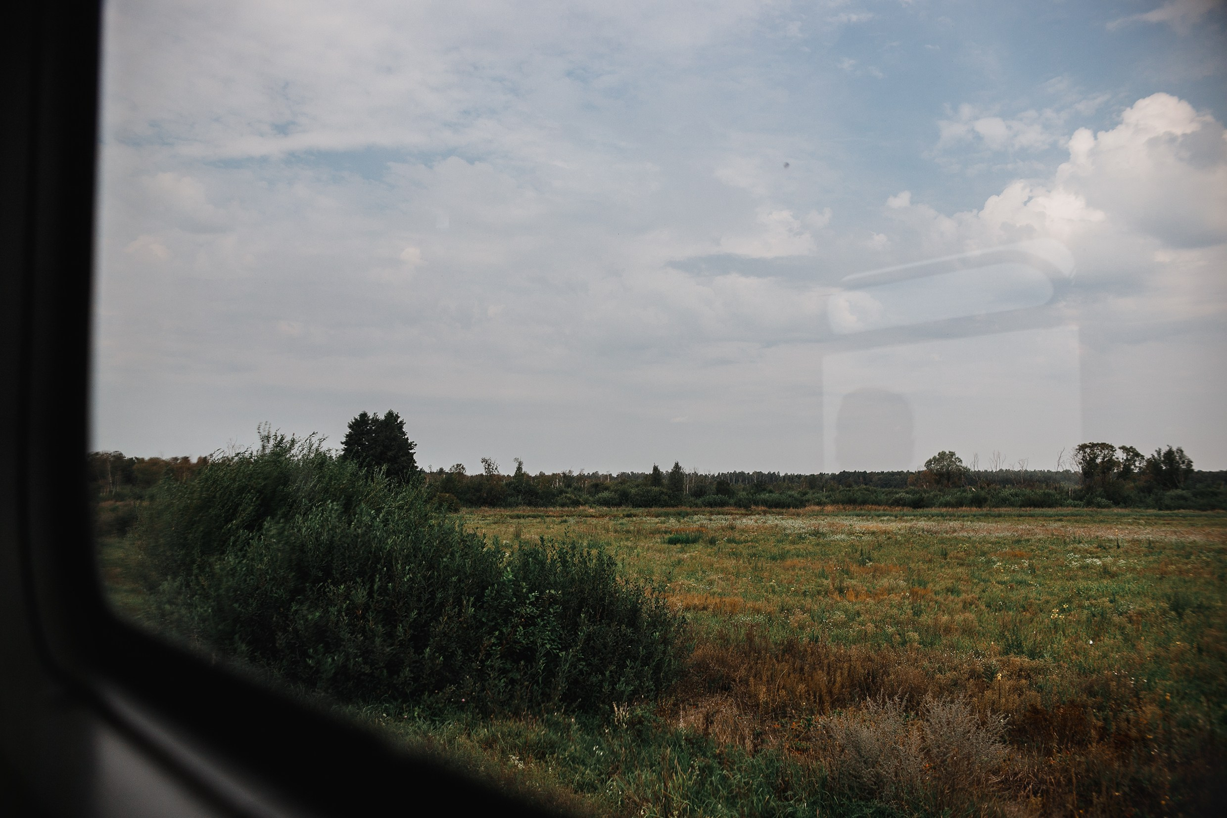 Narrow-gauge railway trip. Kaja | fotograf psów we Wrocławiu