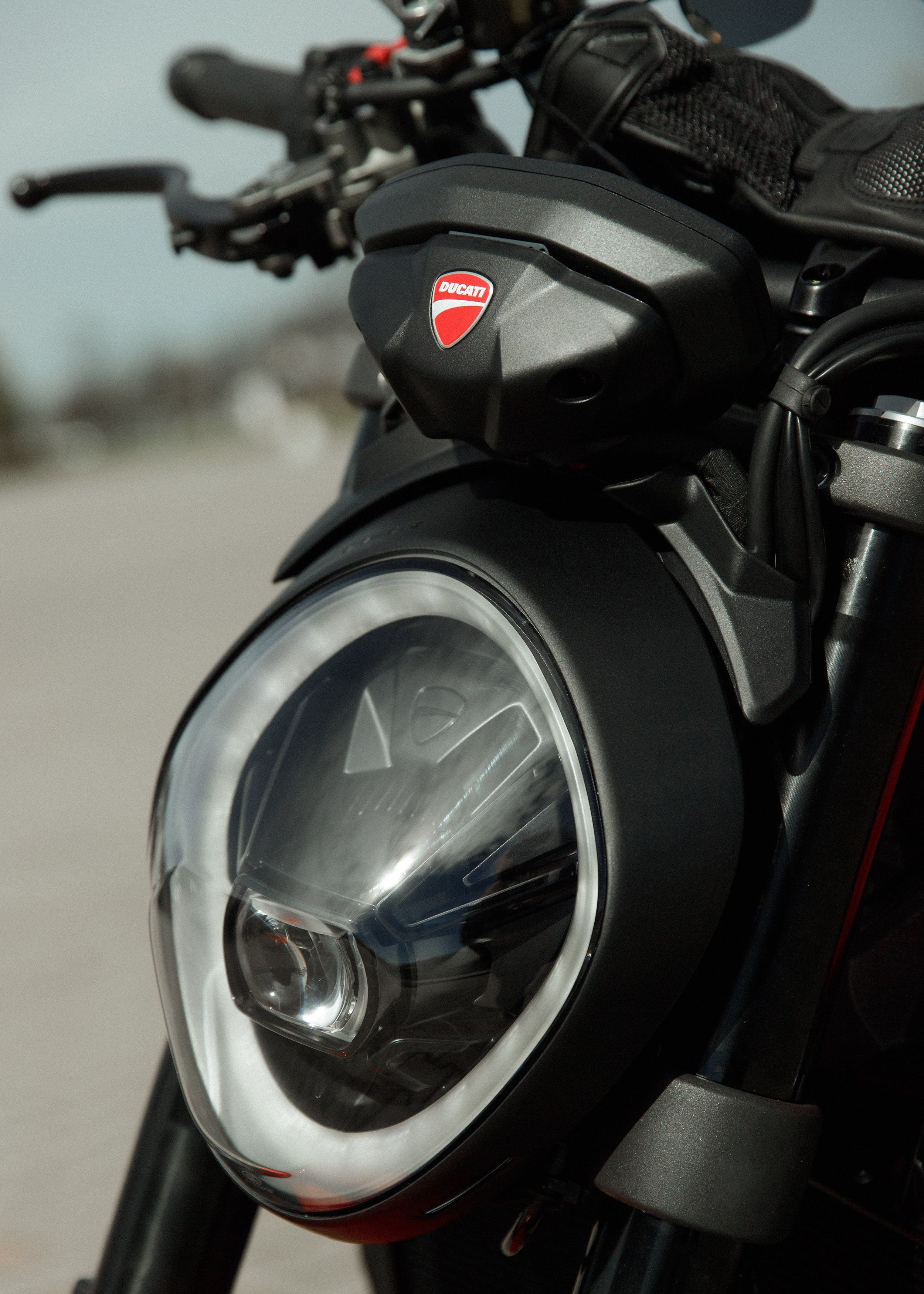 Alex. Kaja | fotograf psów we Wrocławiu