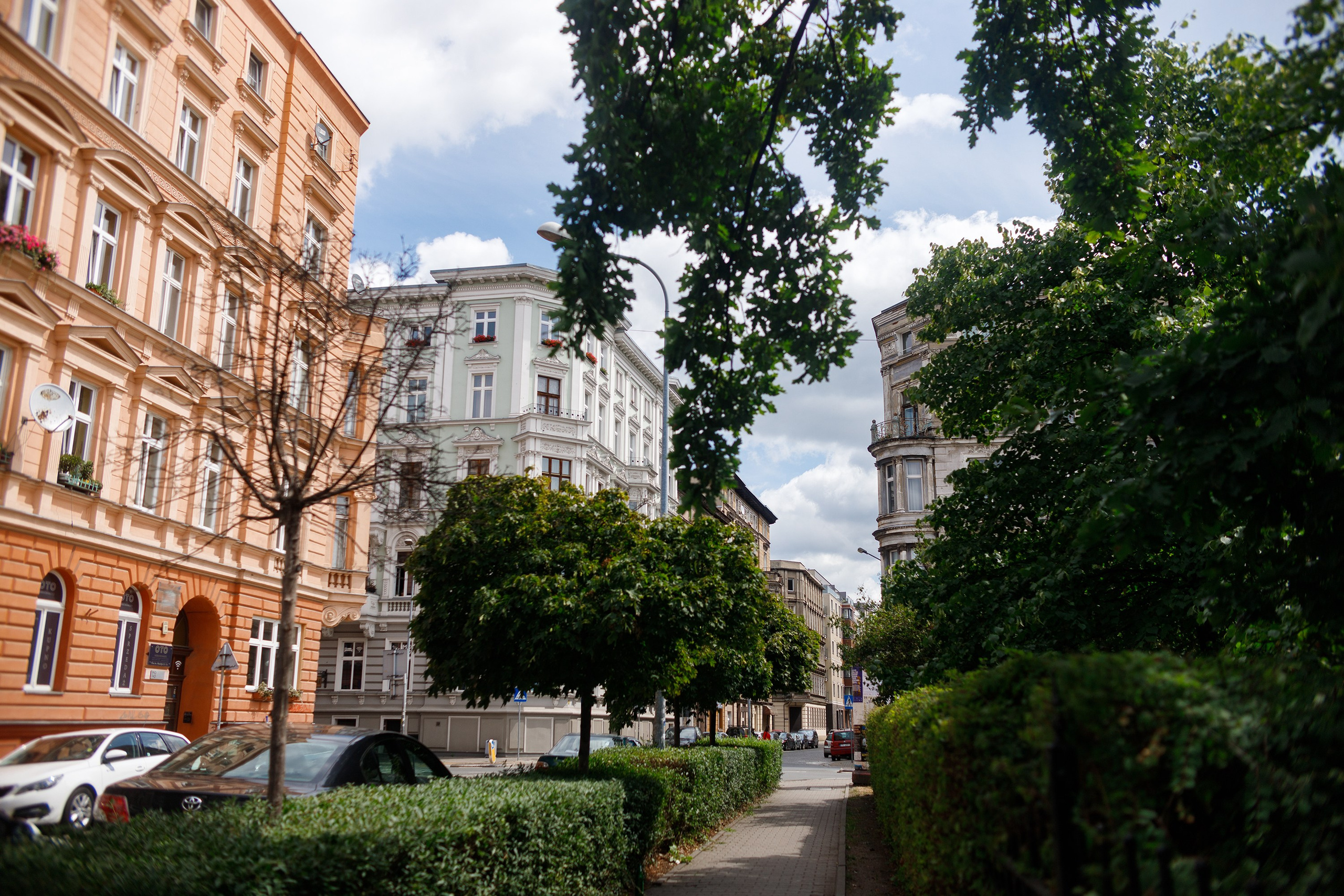 Wroclaw | the best ones. Kaja | fotograf psów we Wrocławiu