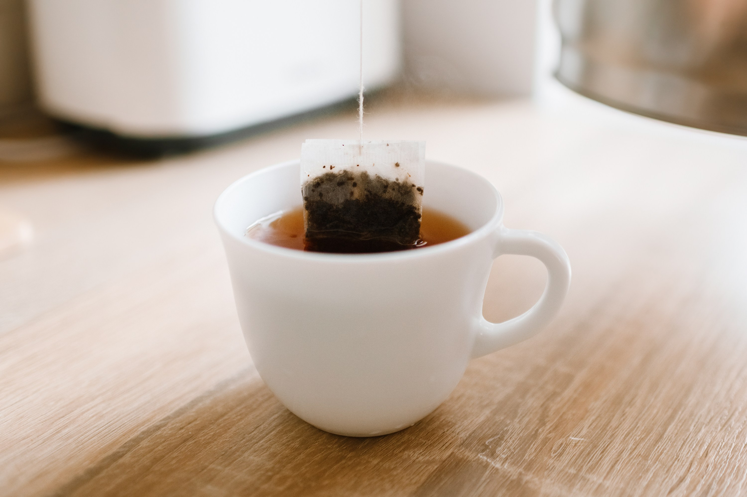 Evgenia & Richard. Kaja | fotograf we Wrocławiu | ludzie i psy