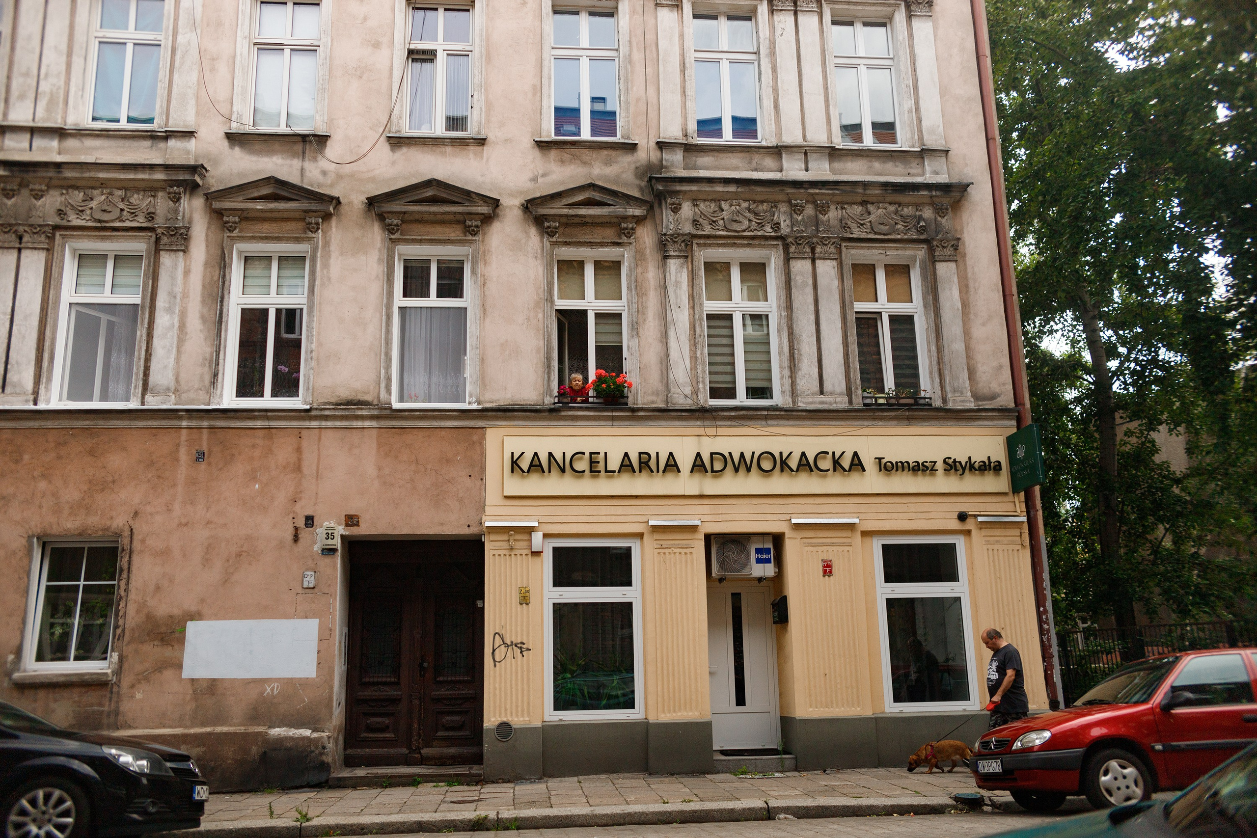 Wroclaw | the best ones. Kaja | fotograf psów we Wrocławiu