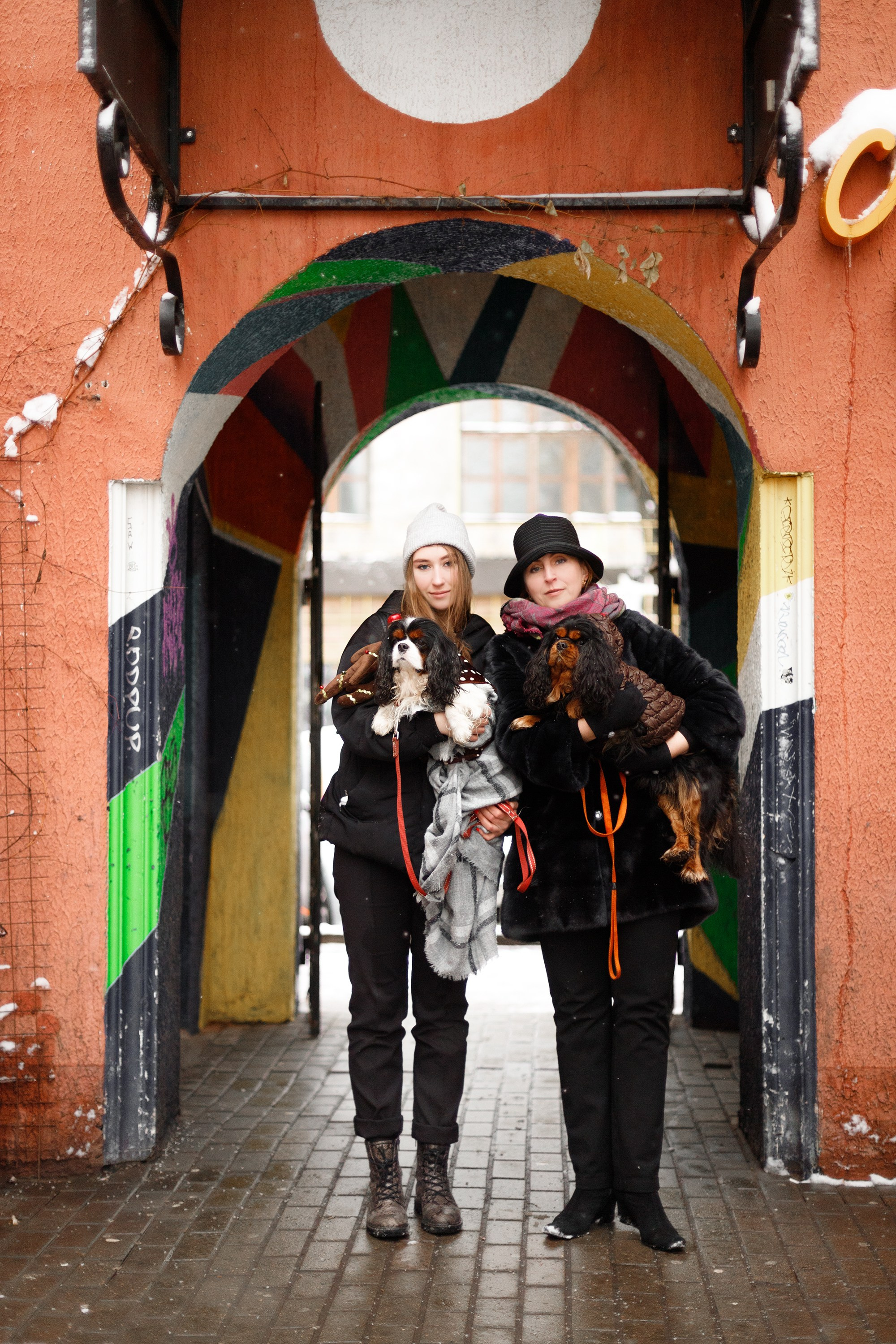 Uliana & winter spaniels. Kaja | fotograf psów we Wrocławiu